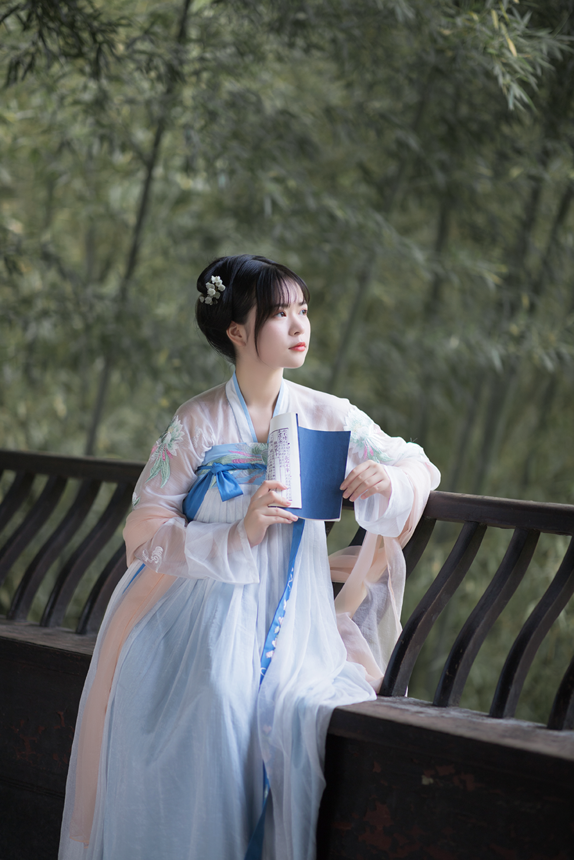 第3张