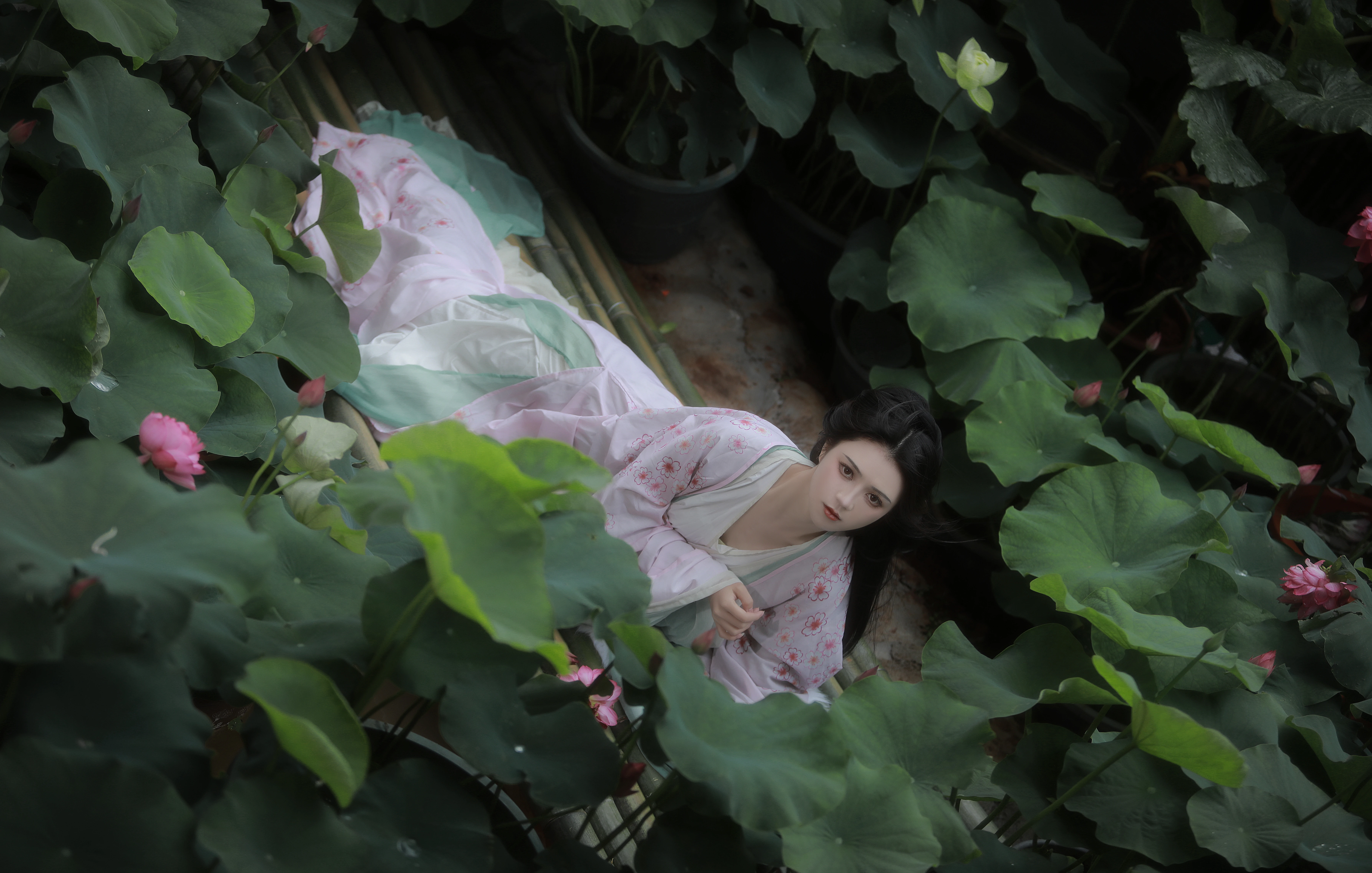 ɽ֪ģ껪 