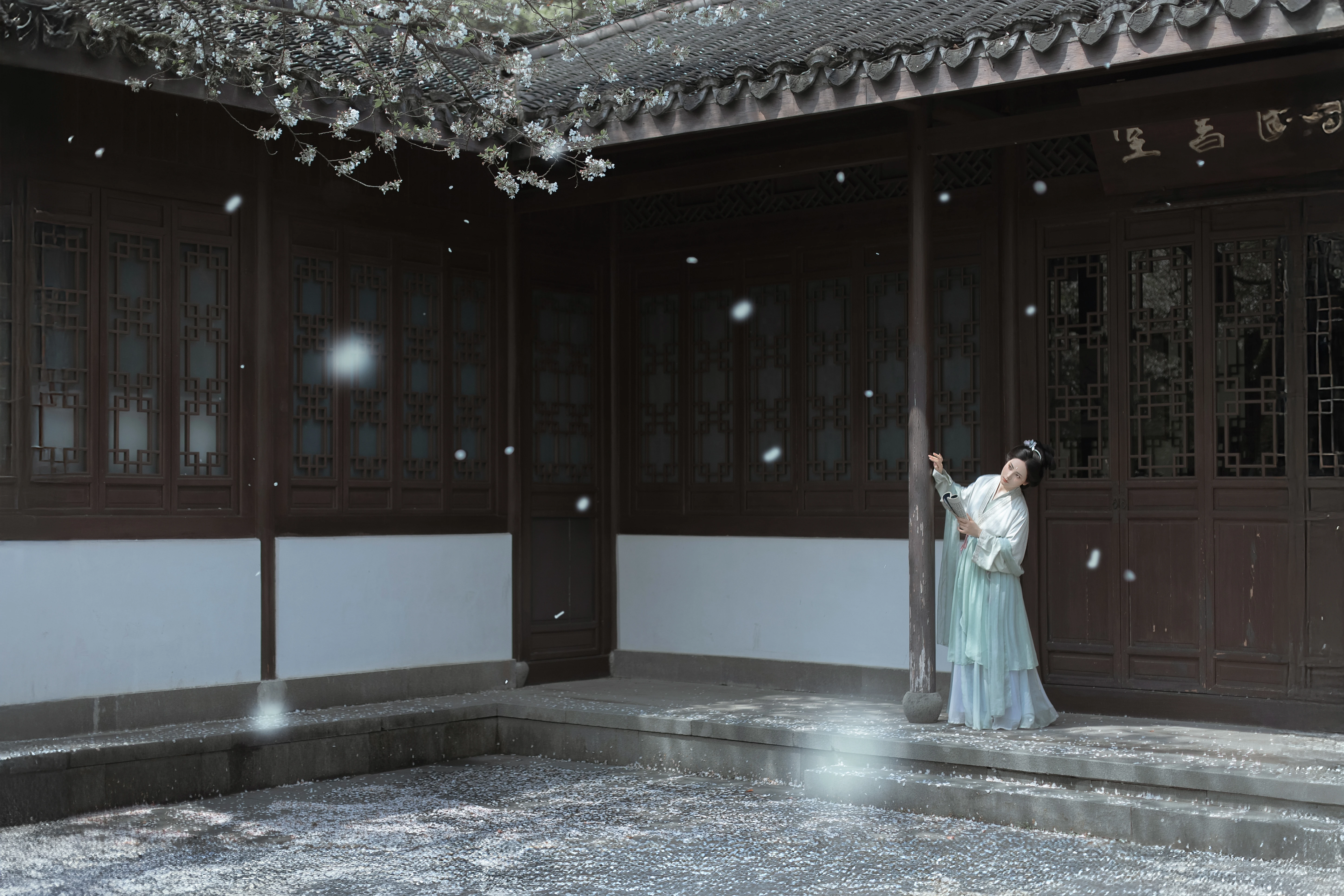 ͥǰѩ ������