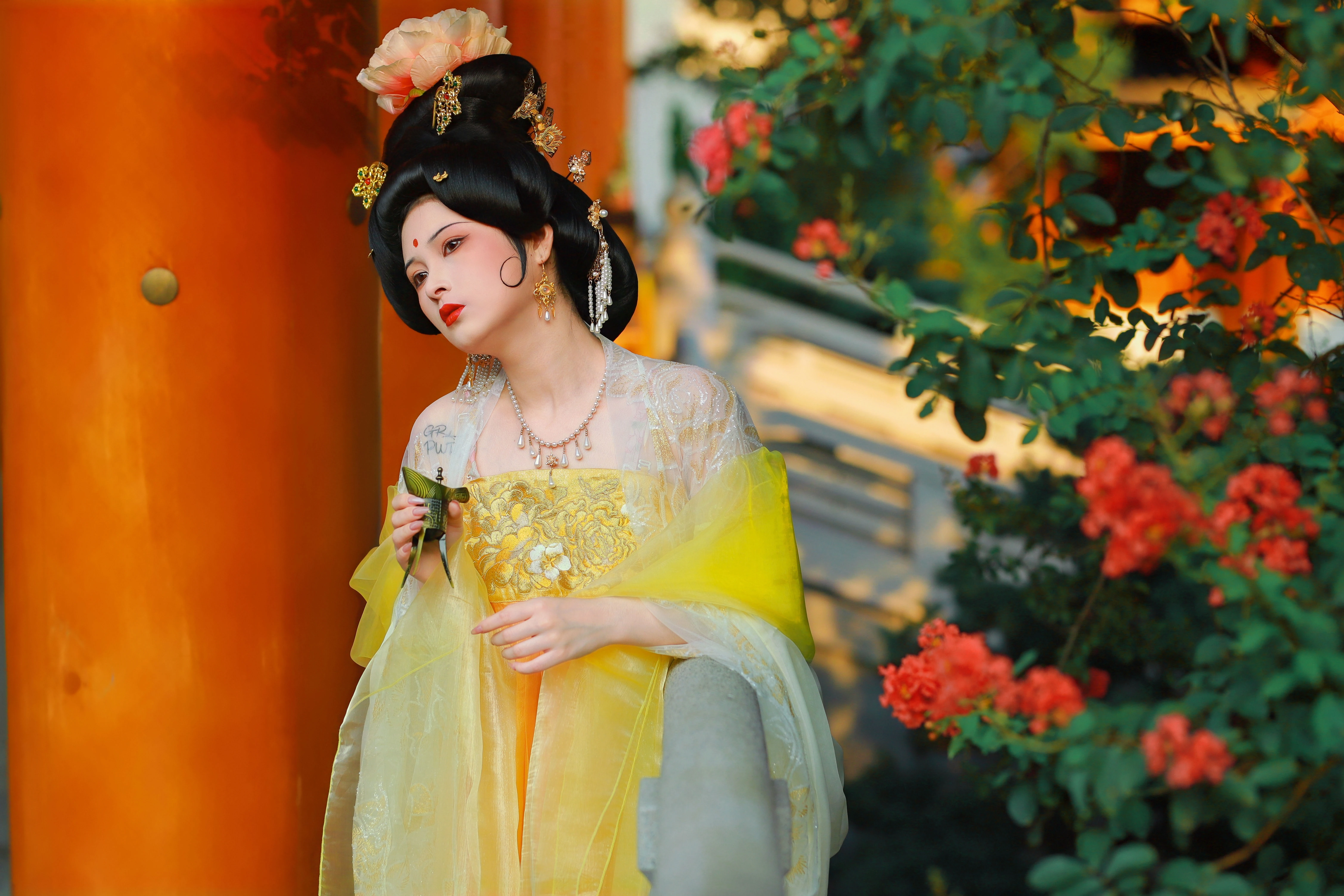 �������� 6161