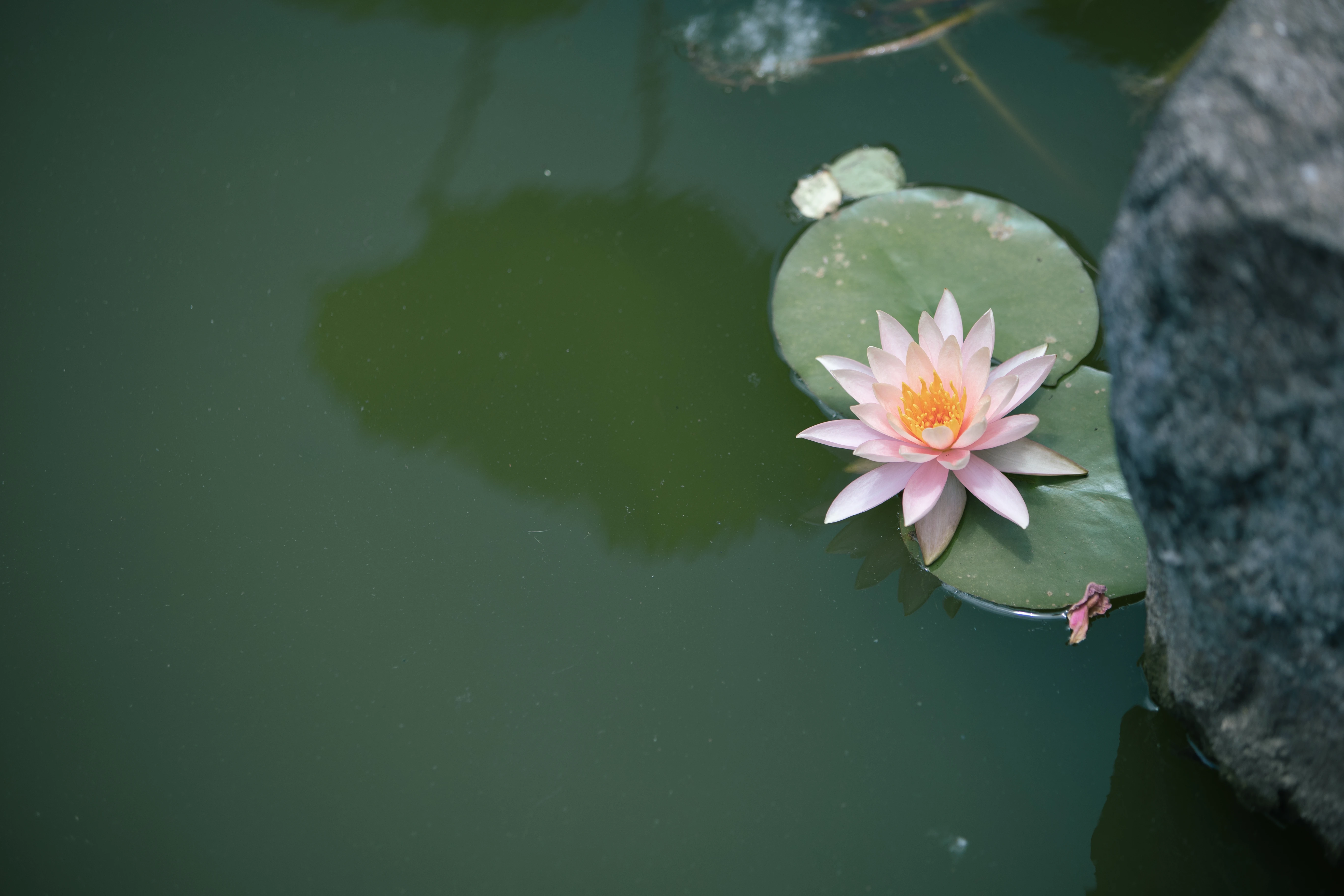 ��¨�� ��Ө����