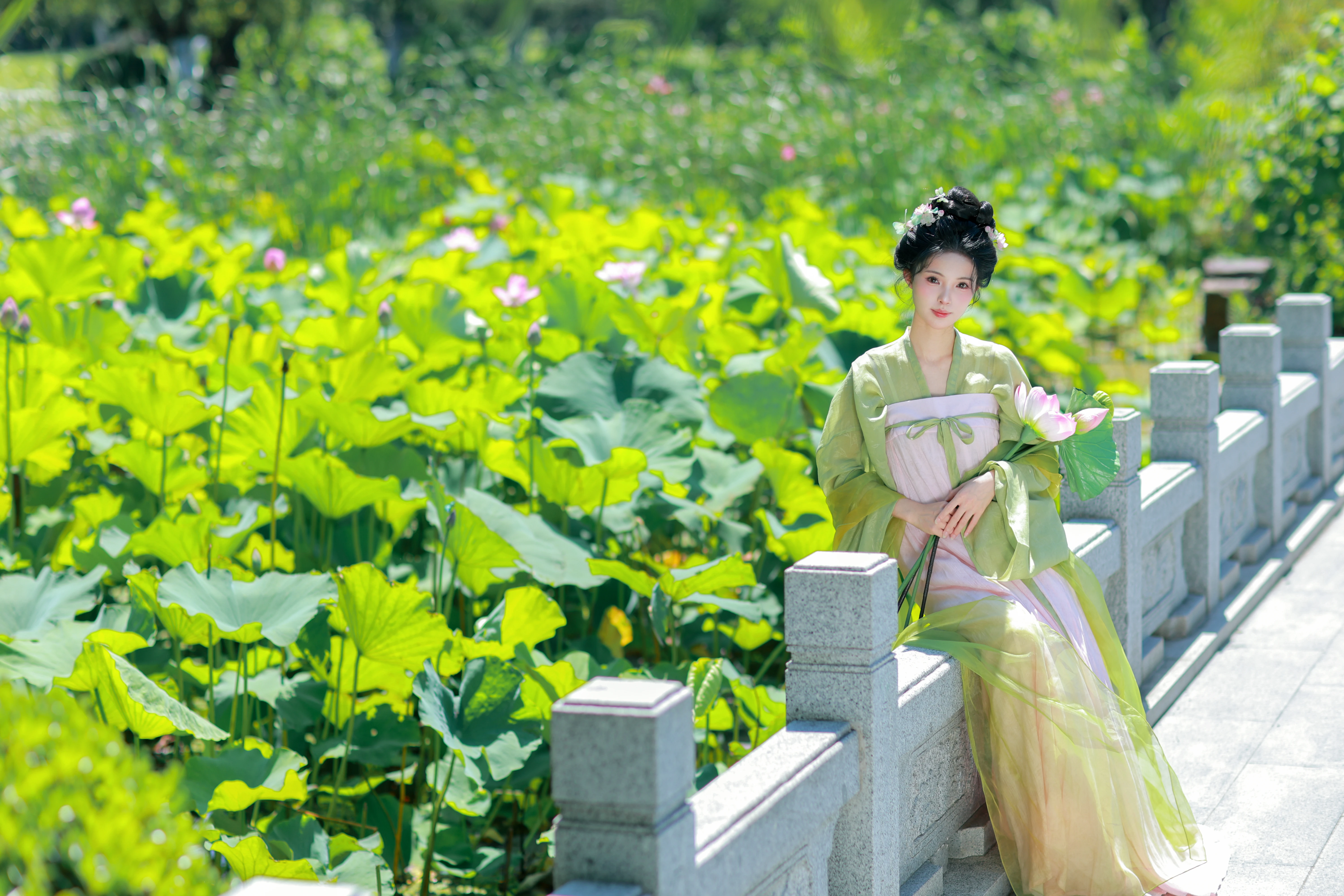 ����Ũ�����ճ� ��������