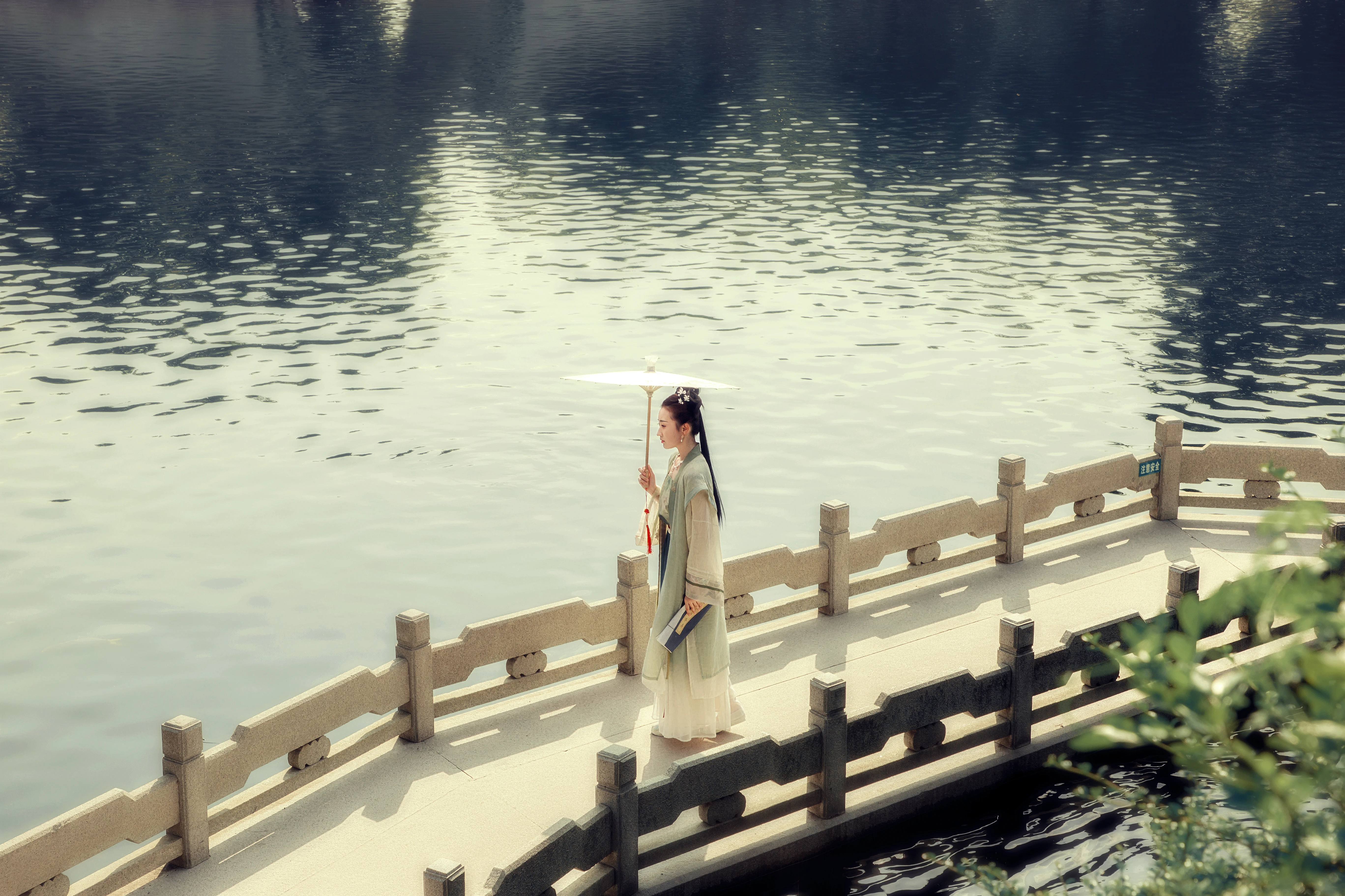 ����ɫ������ ����