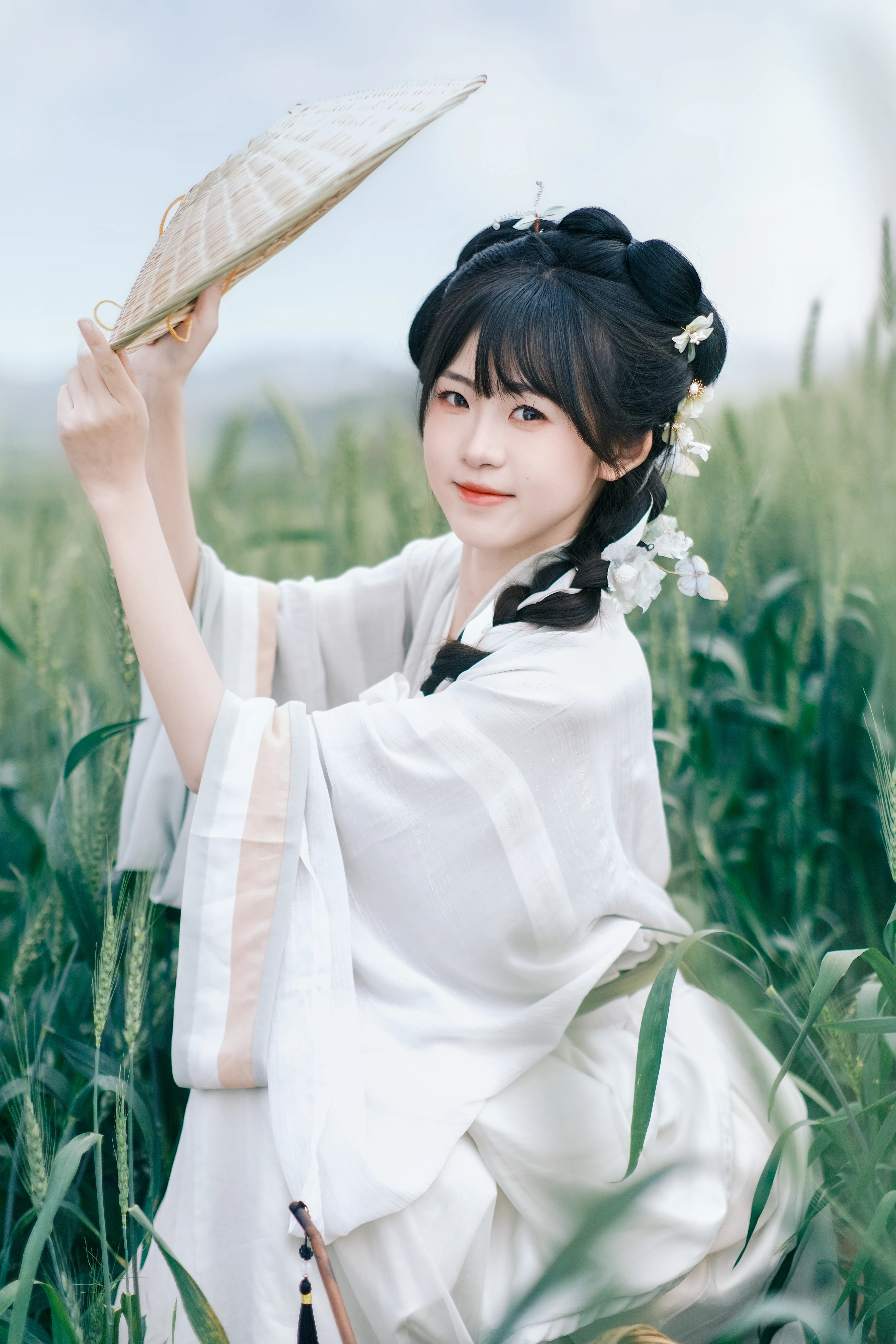 �����������һƬ��ɫ�ĺ�