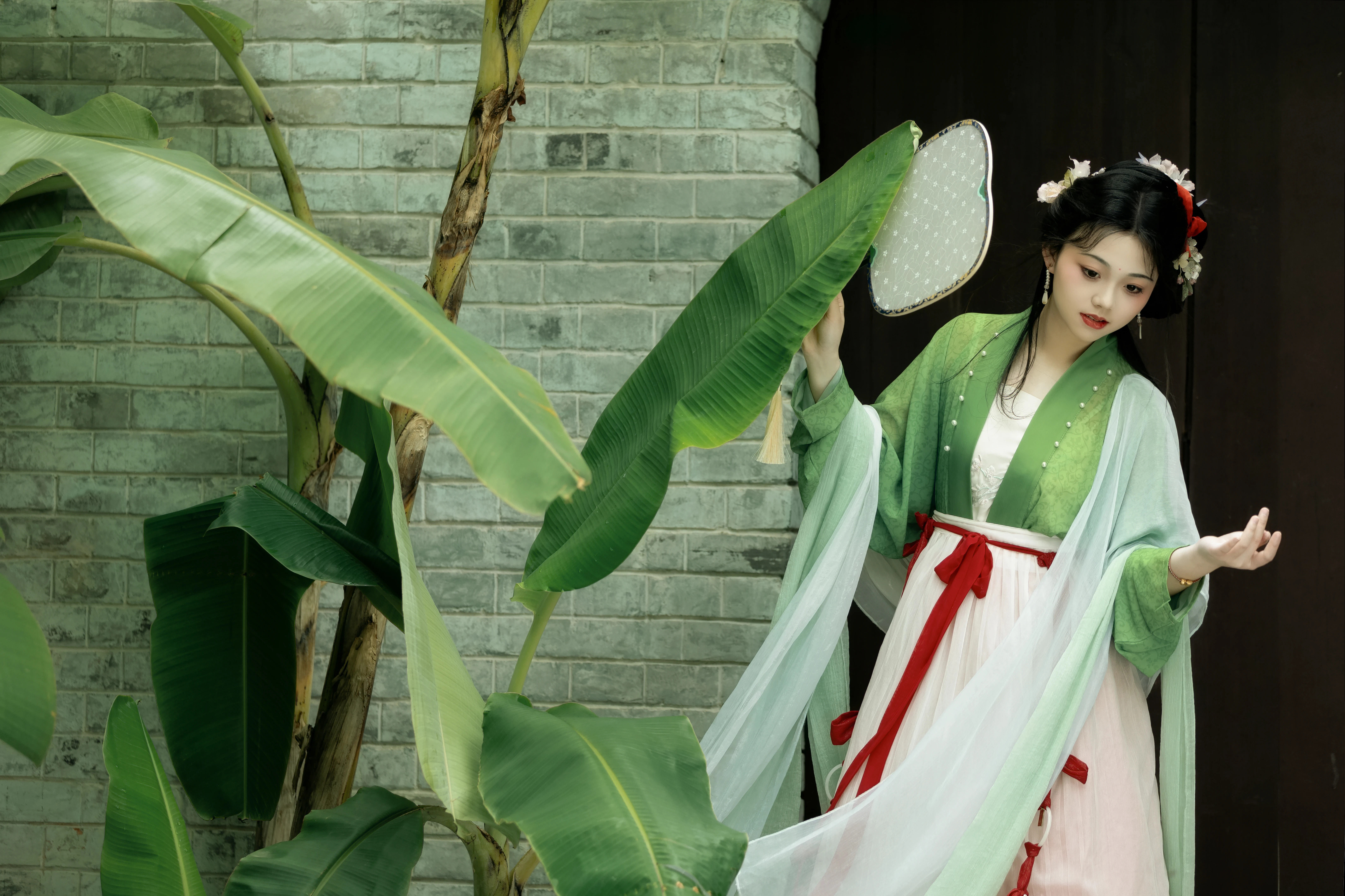 ��Ҷ���� �����