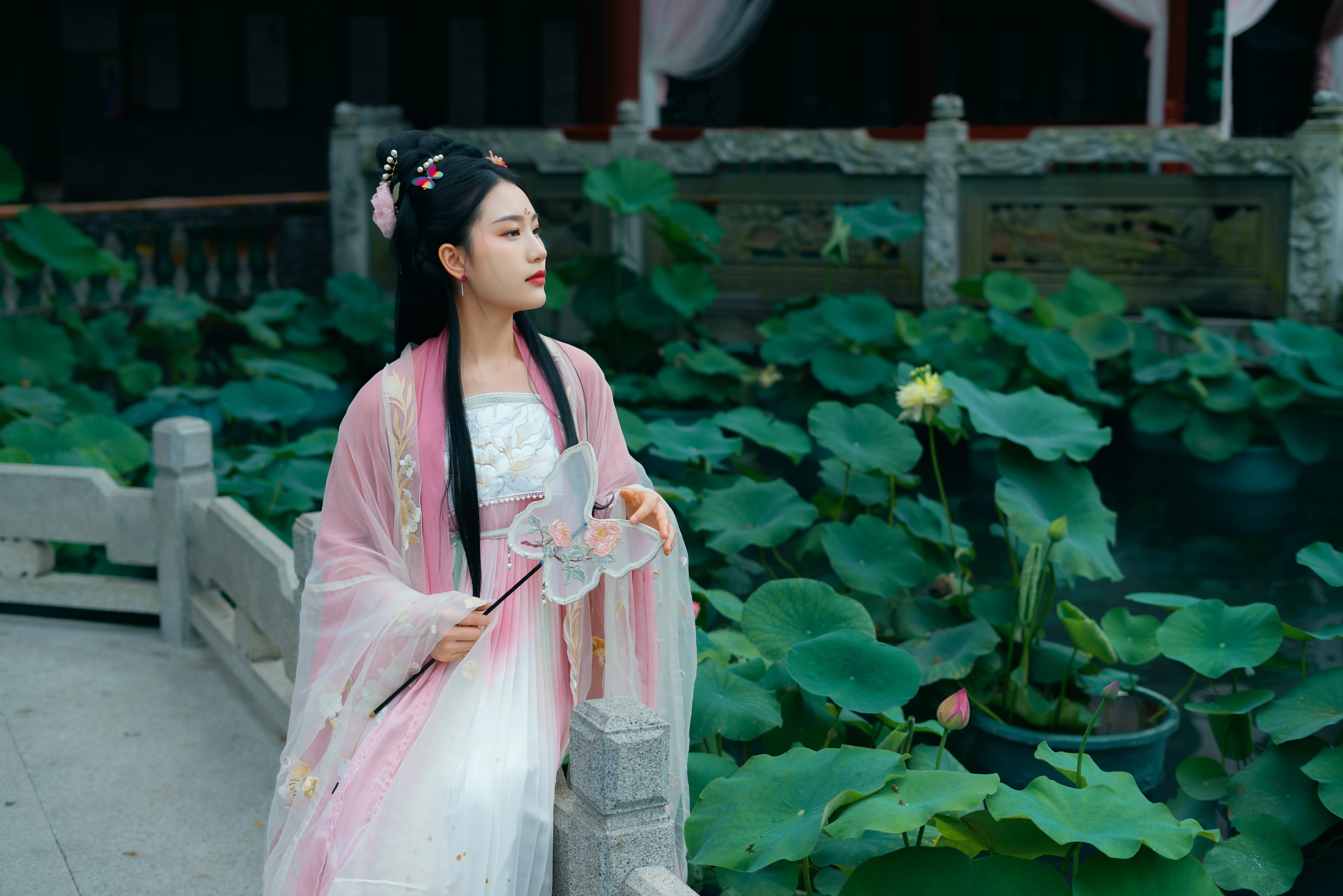 ����� �µ�