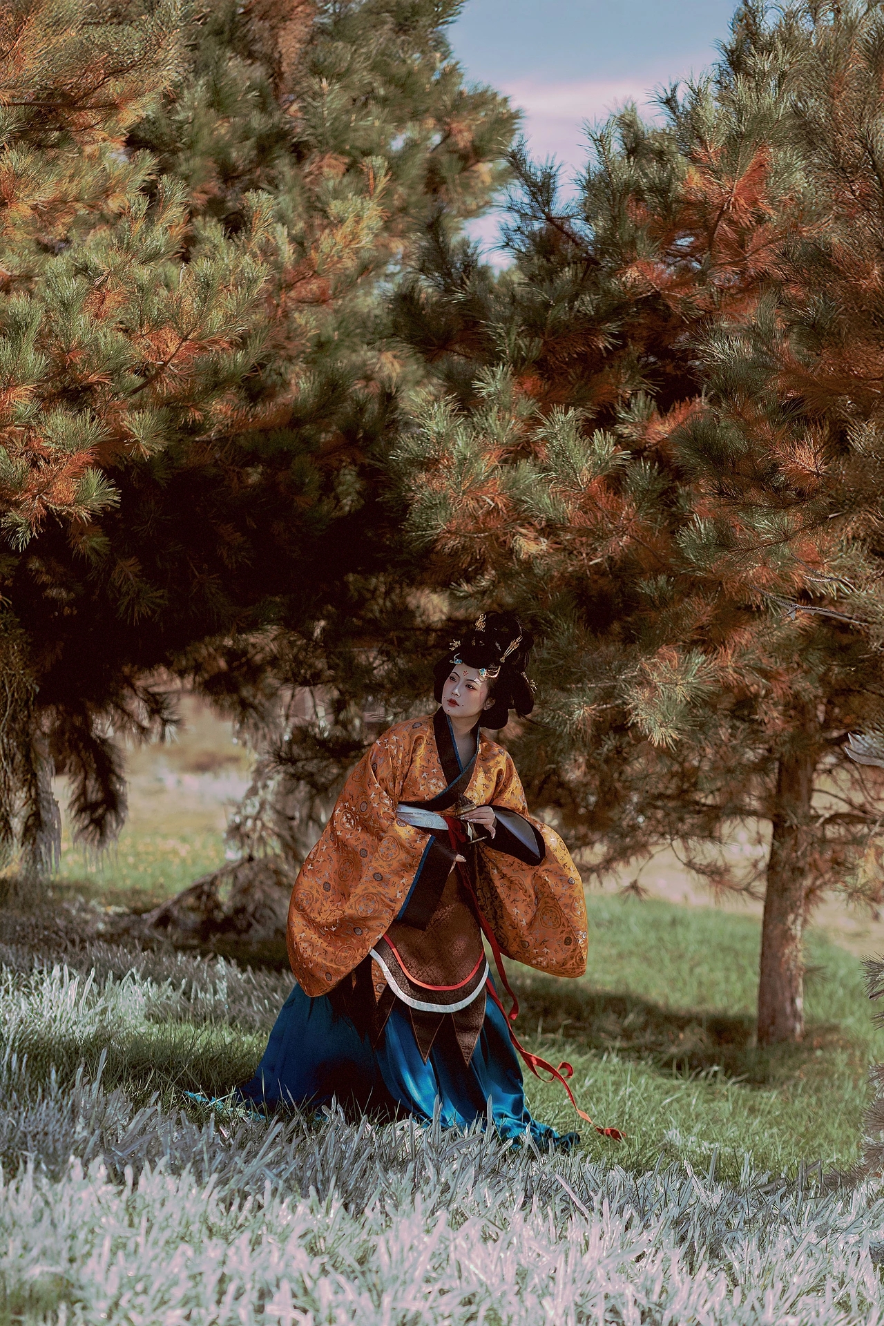 ����ɽ��