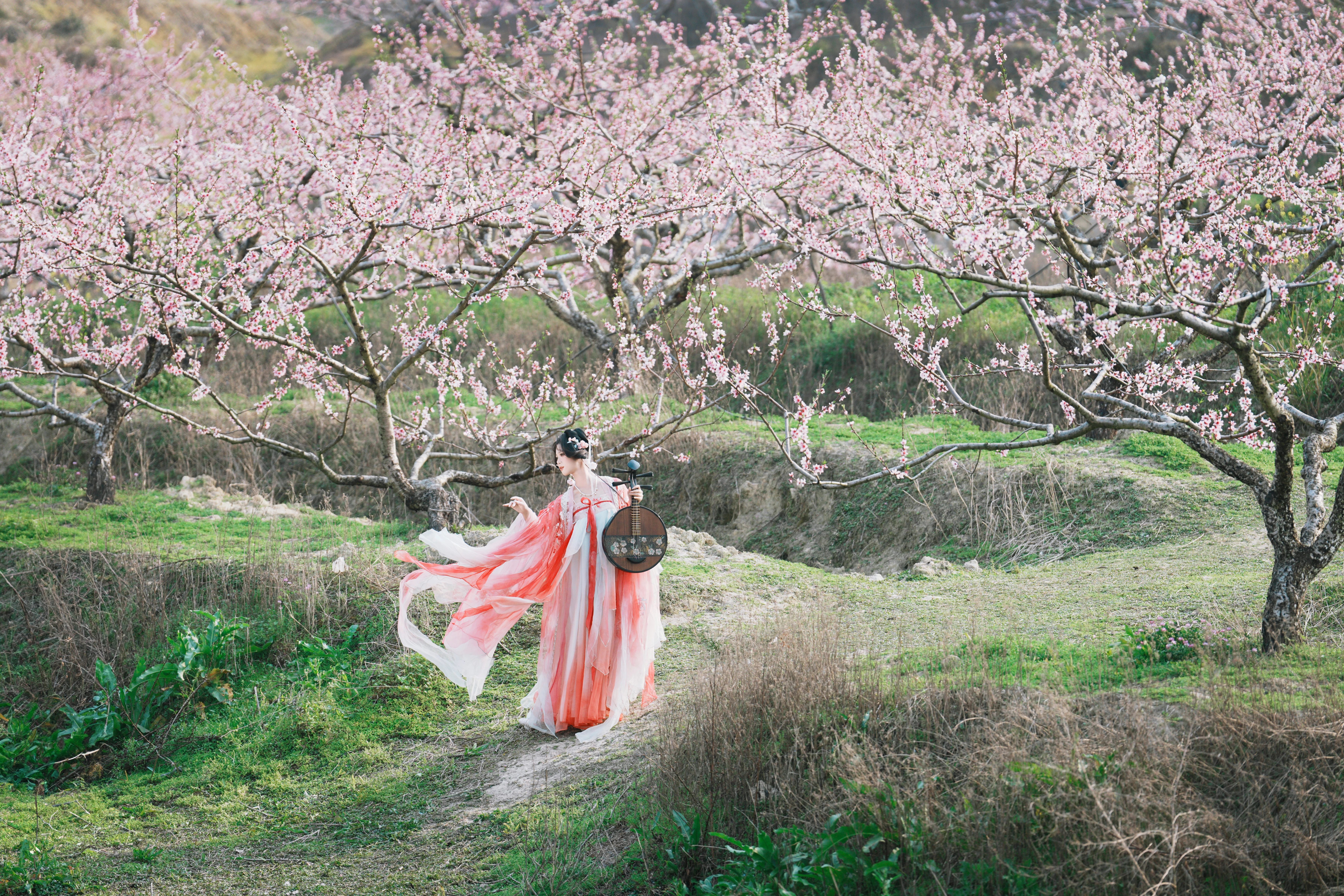 �ŷ��һ����� ����