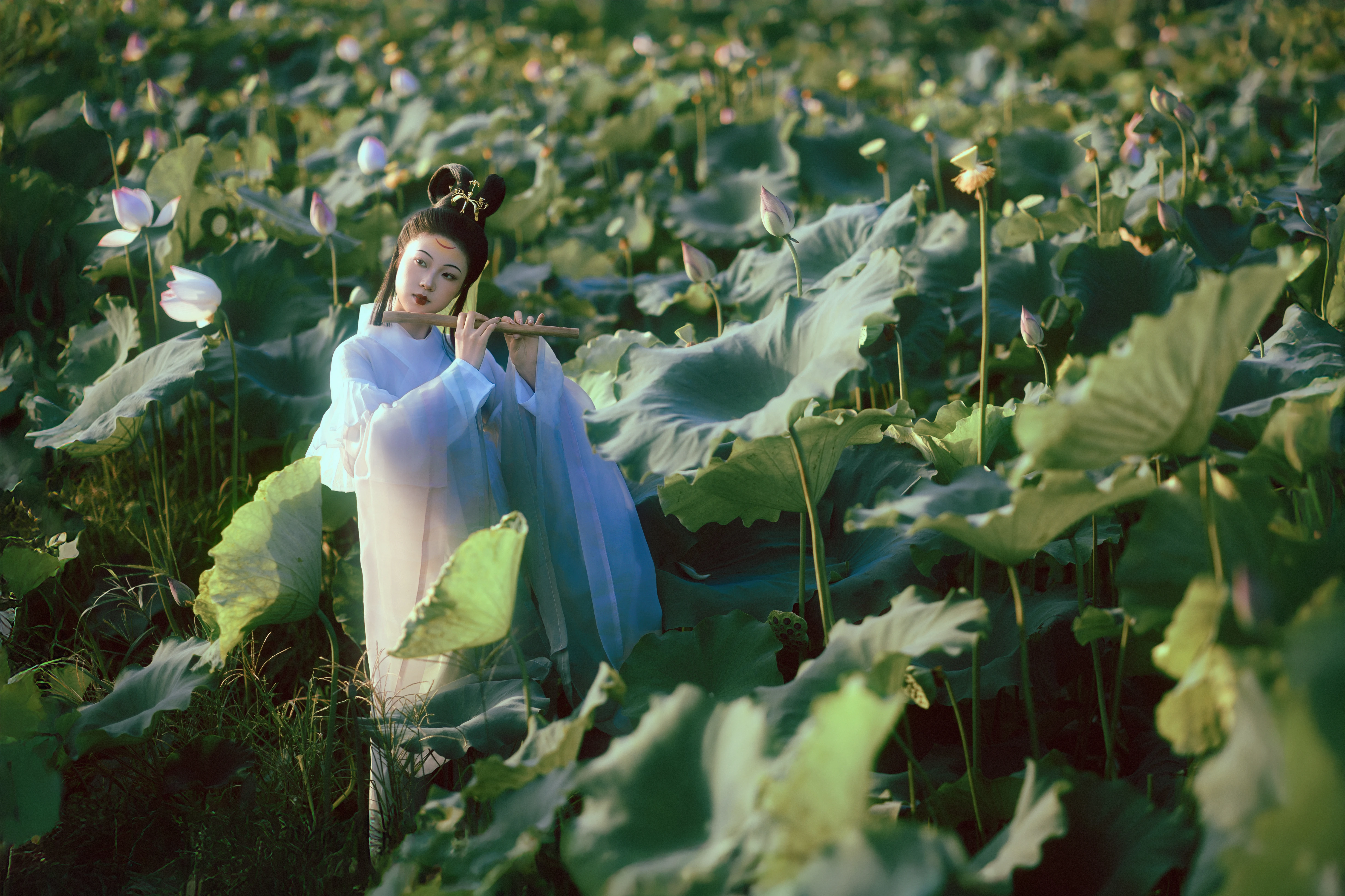 ���� ����