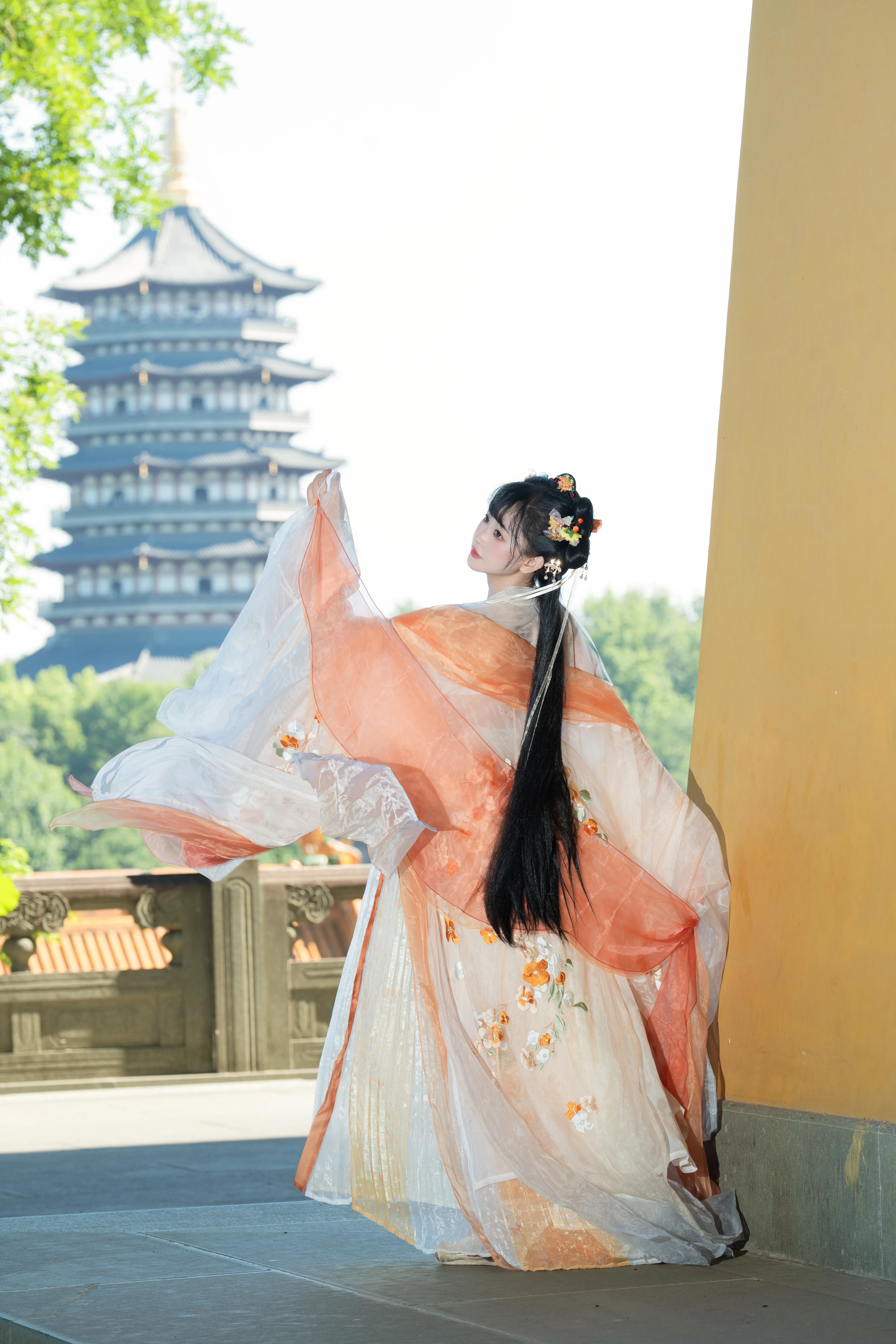 ������ ��һֻ����