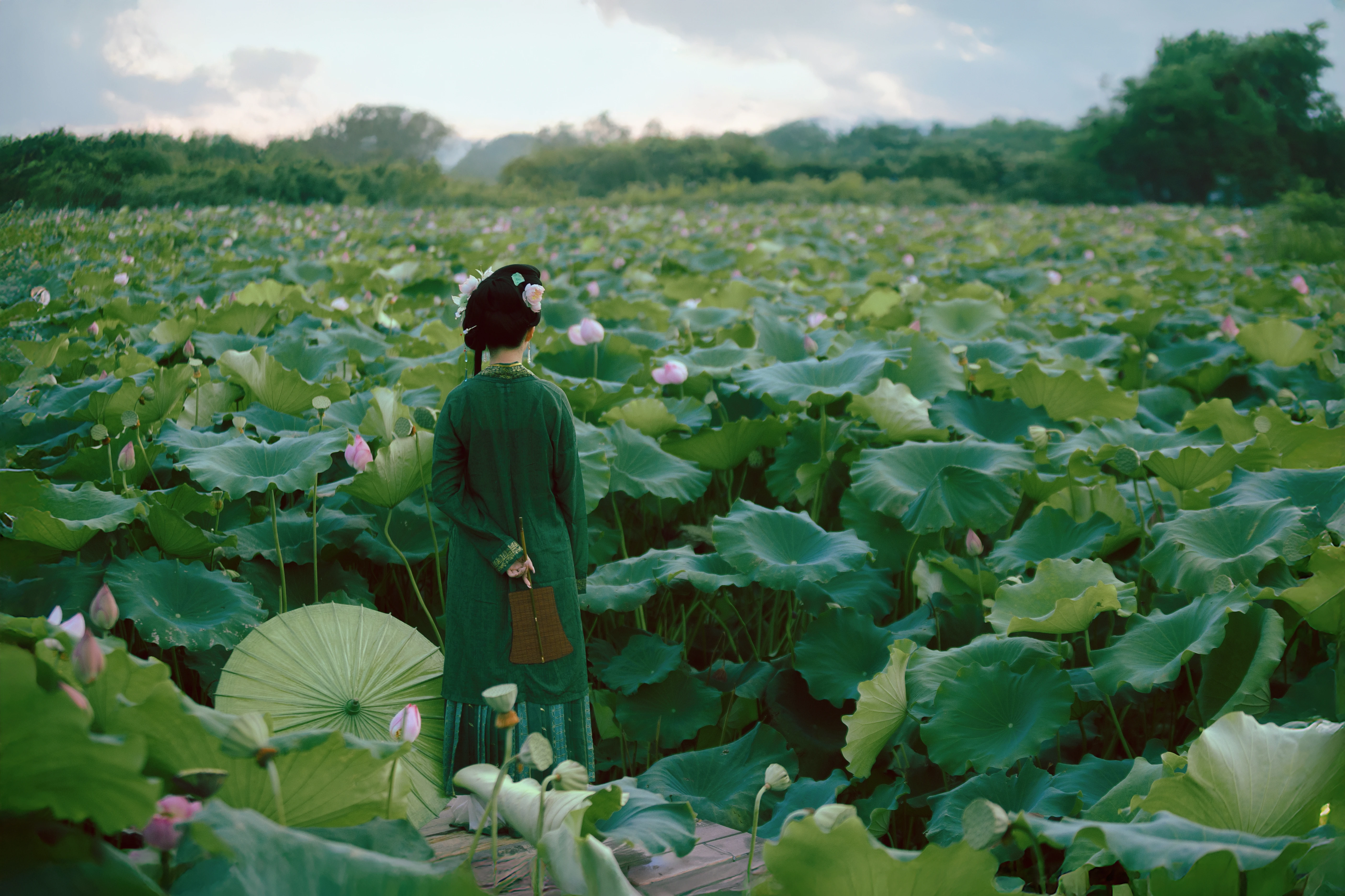 ����ź�� ��������