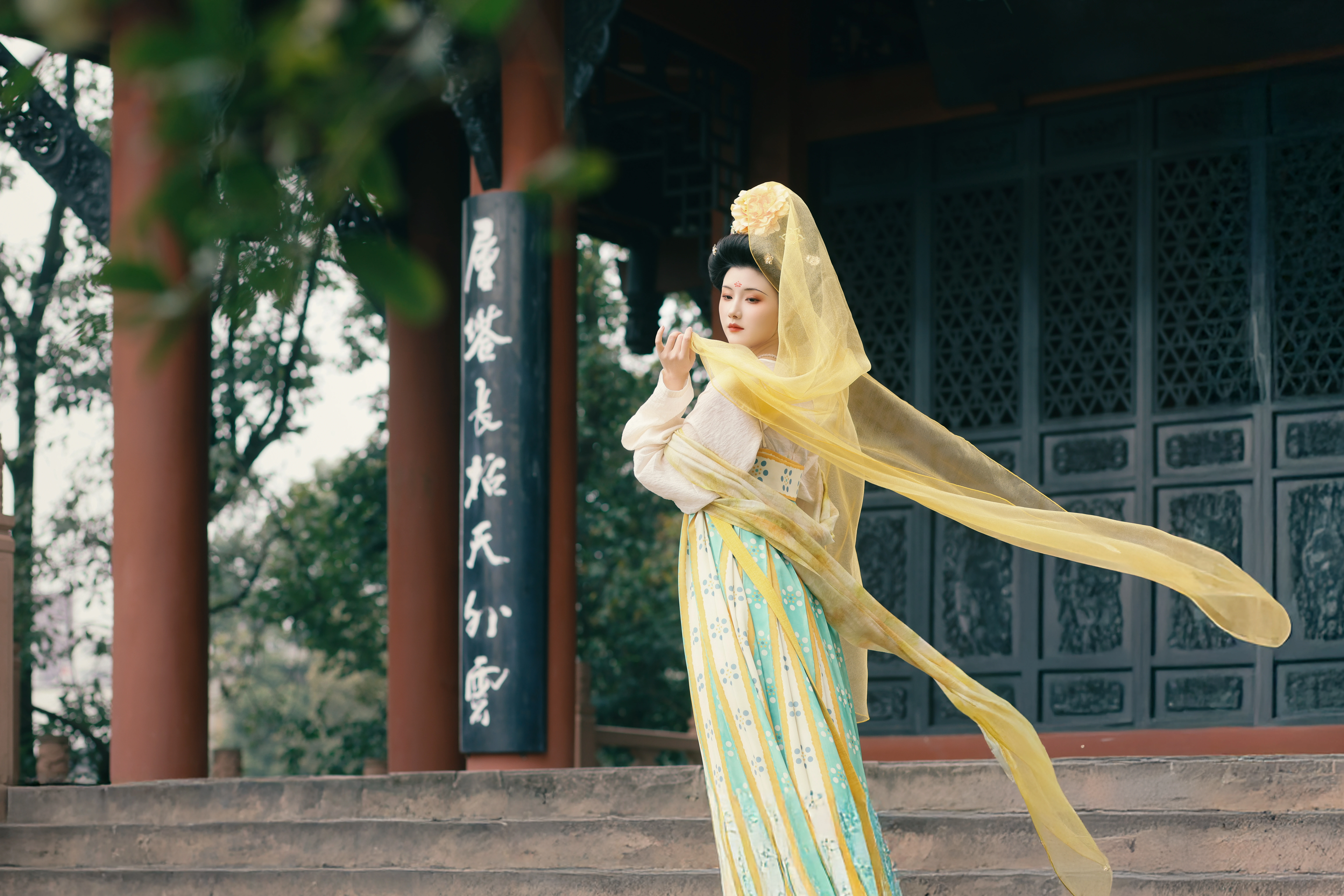 ��ɫ���� ����