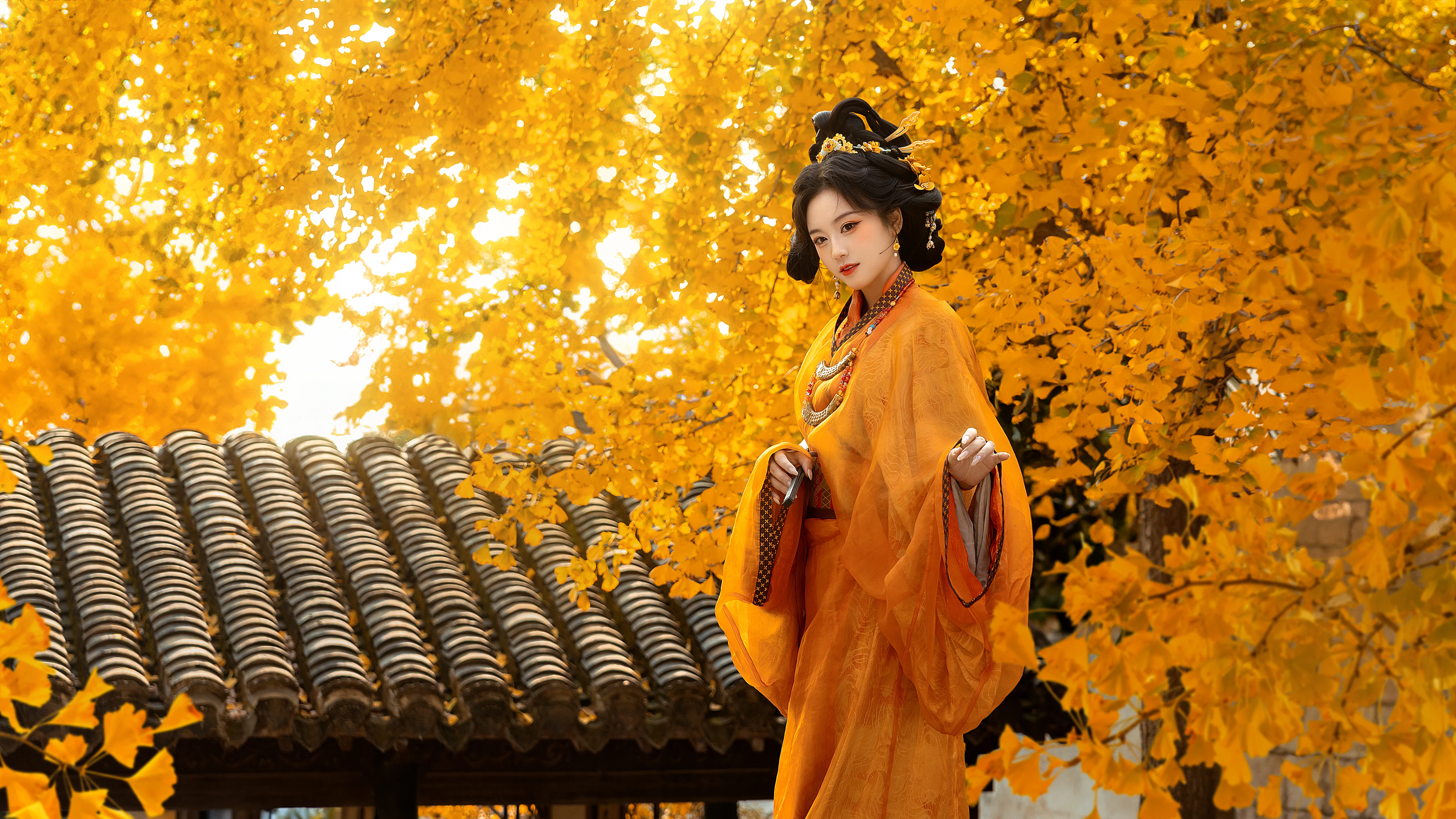 �紵һƬҶ�������Ѿ���