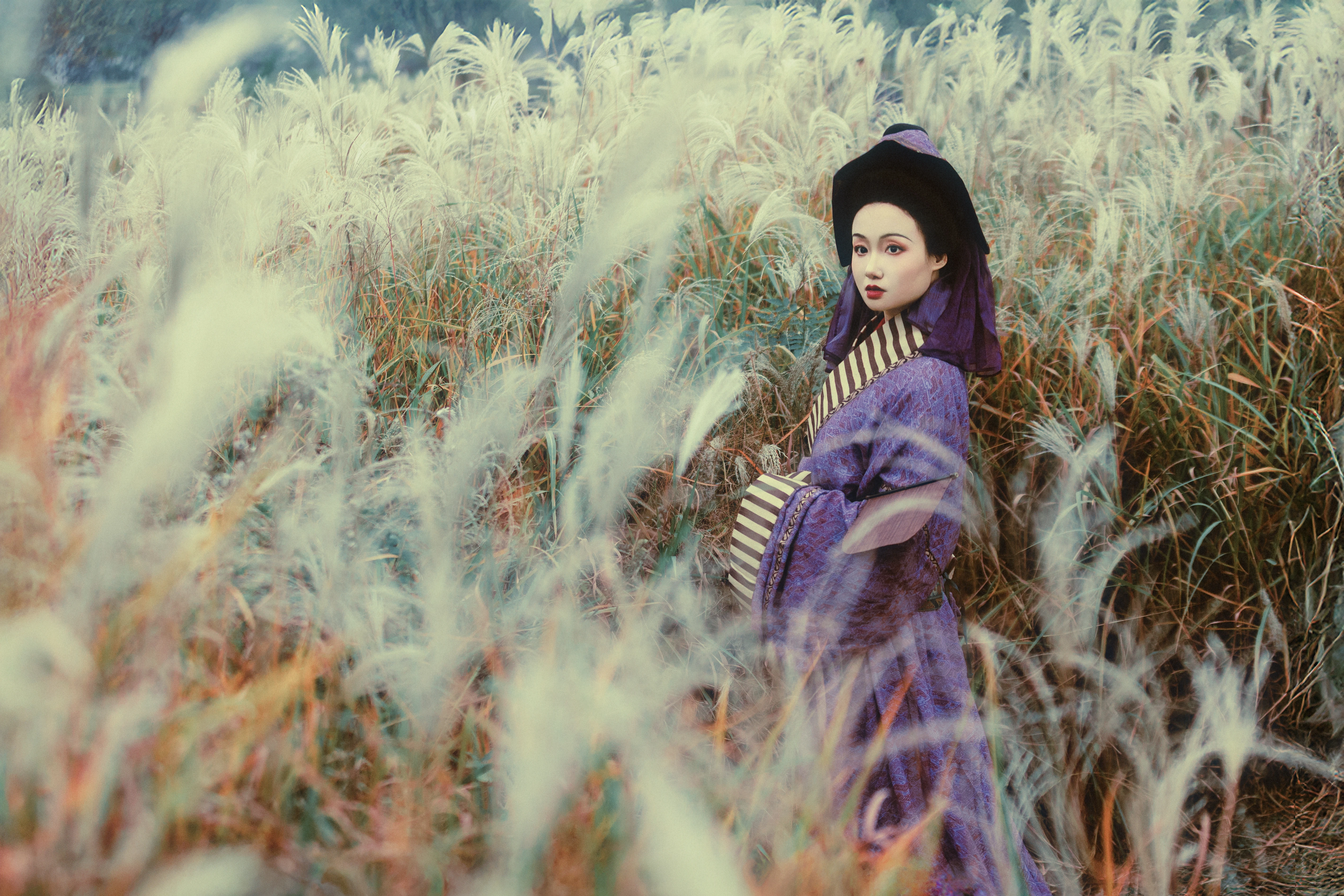 �������� �ع�