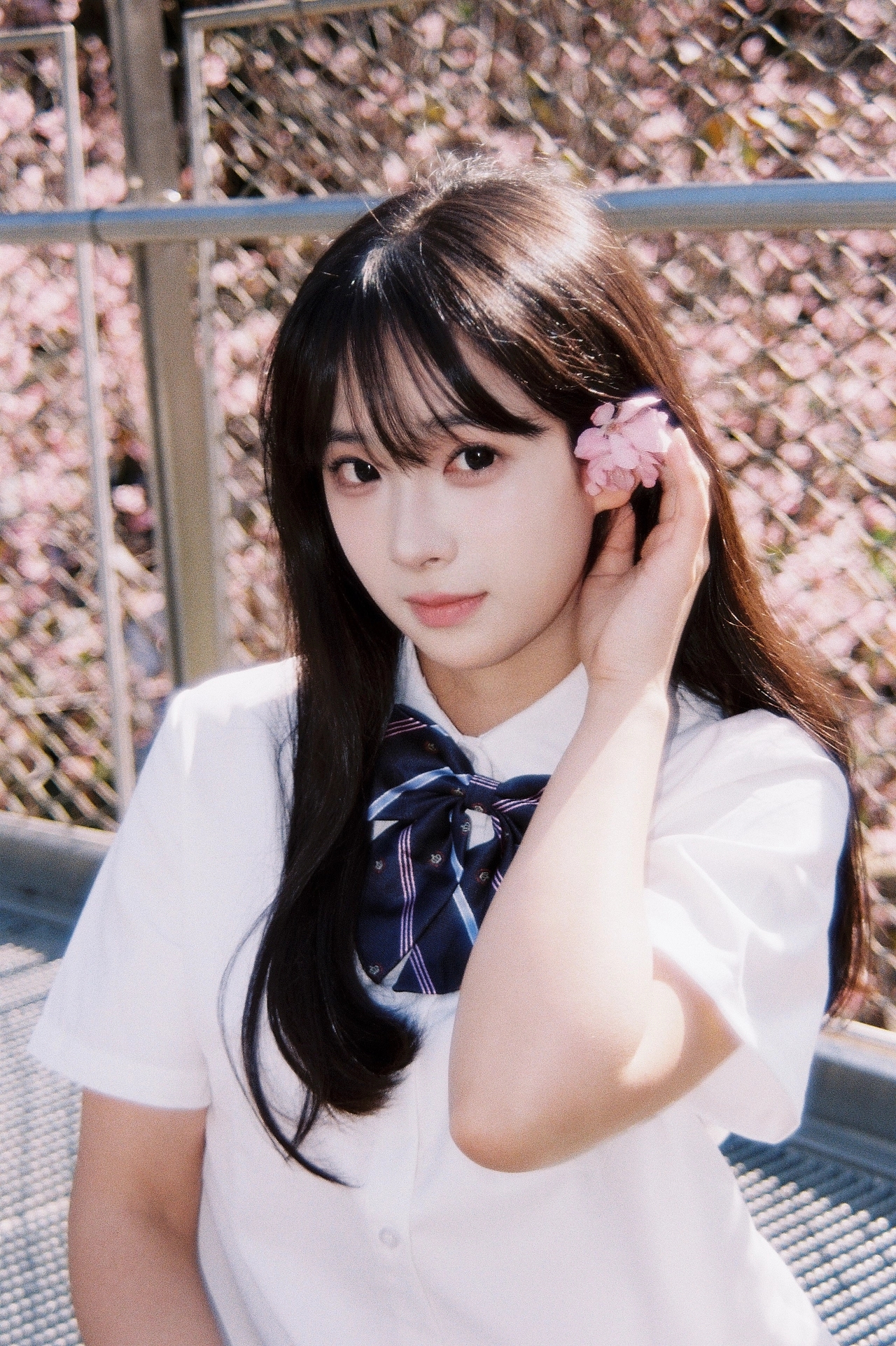 ��ʱ����ߵ�Ƭ��