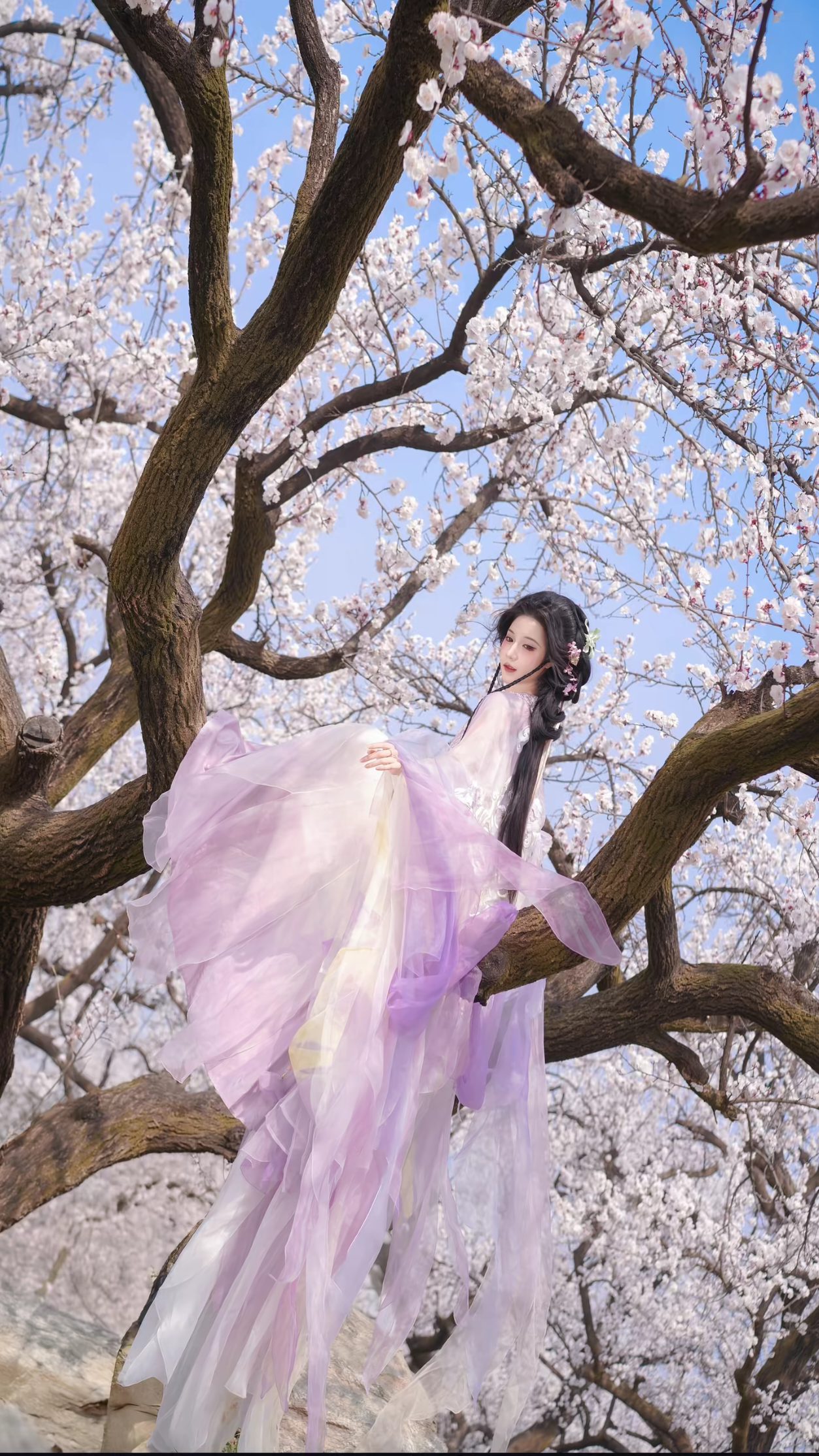 ���պ�������������ⳤ