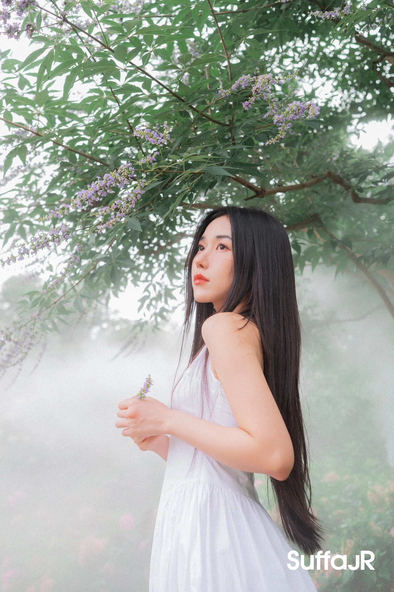 第2张