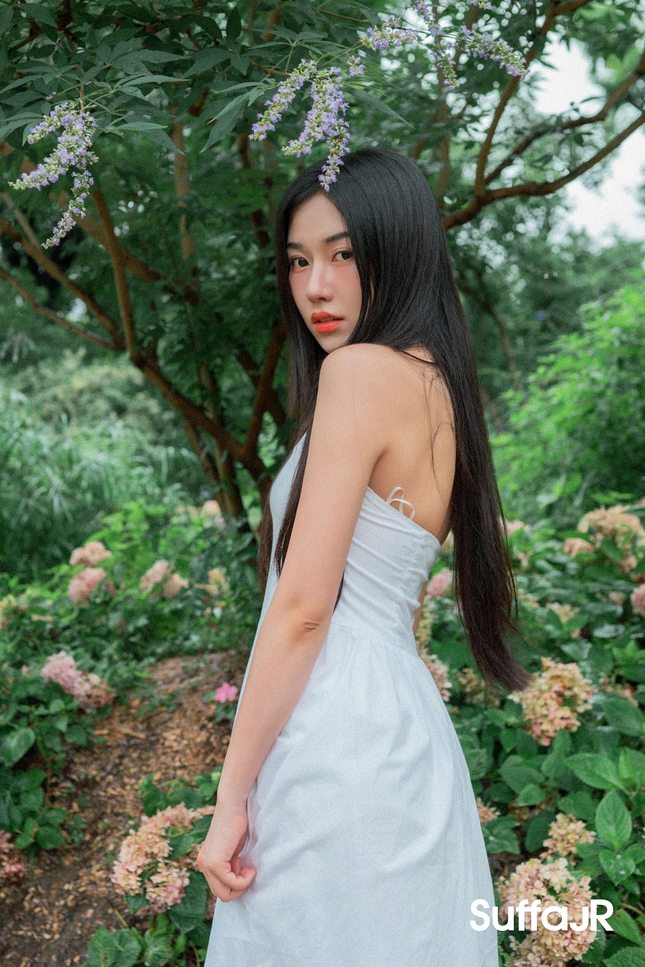 第3张