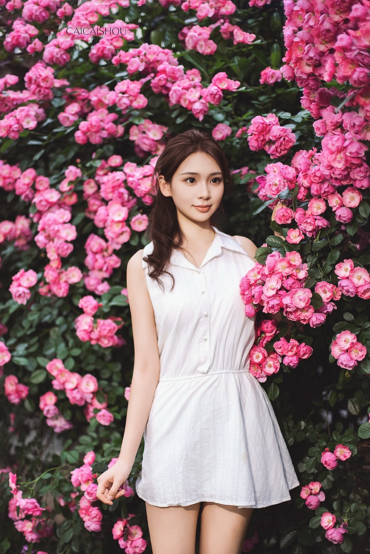 【菜々手摄影】鲜花落满檐