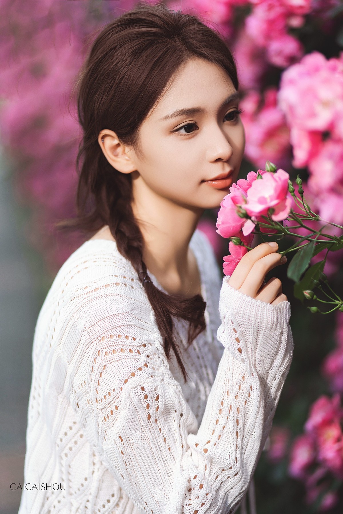 第3张