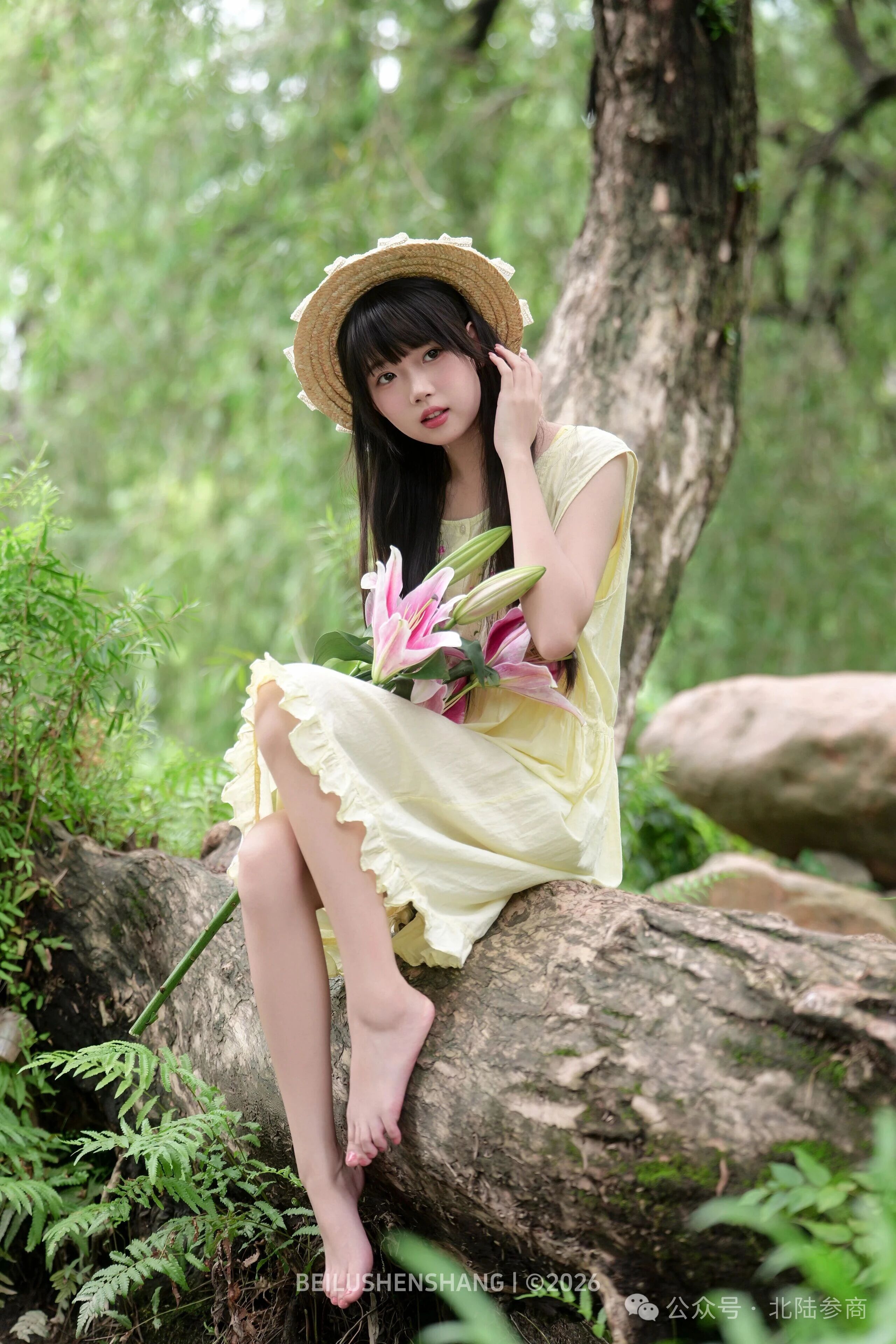 仲夏林间拾光｜相册里有一个不可战胜的夏天