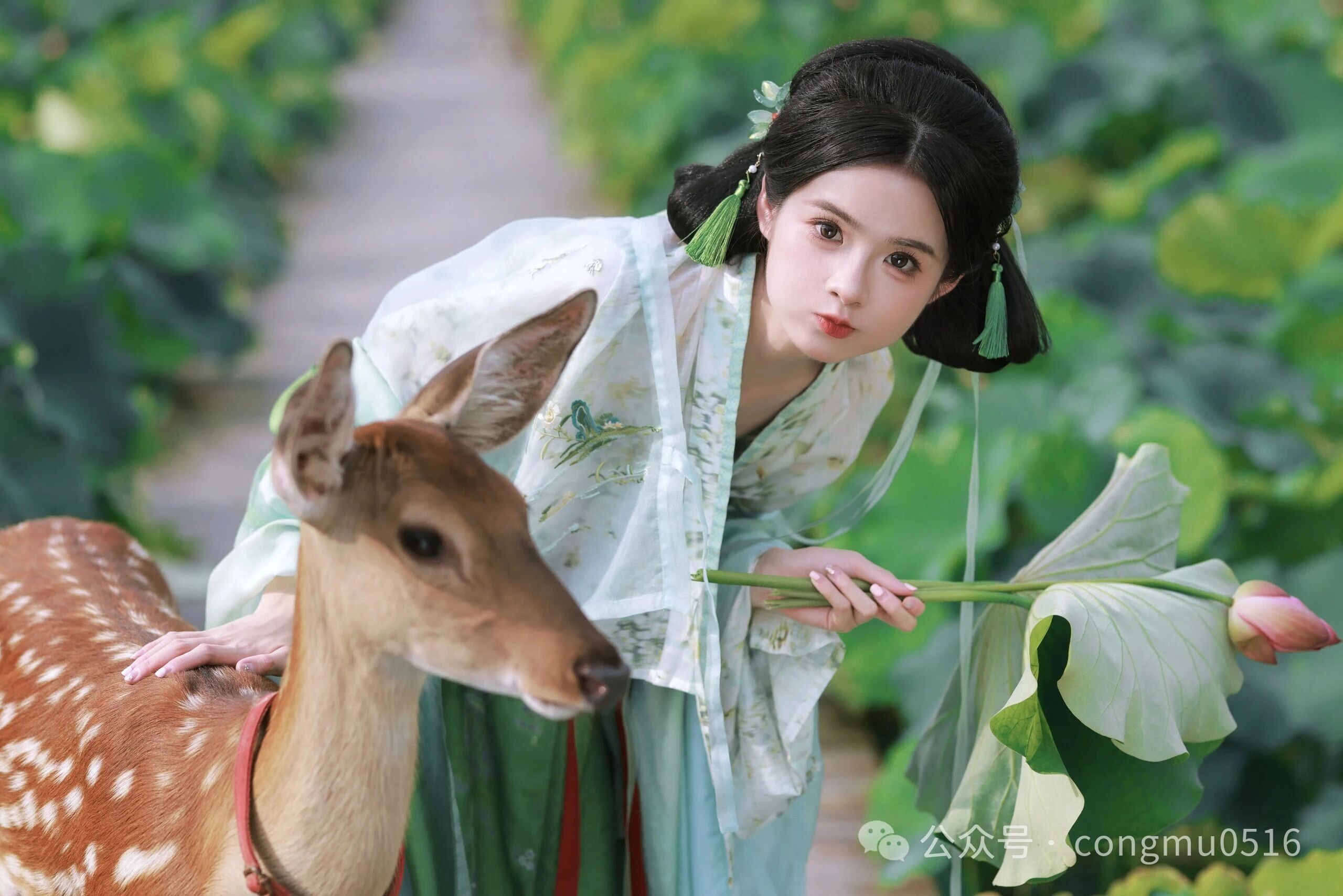 第1张