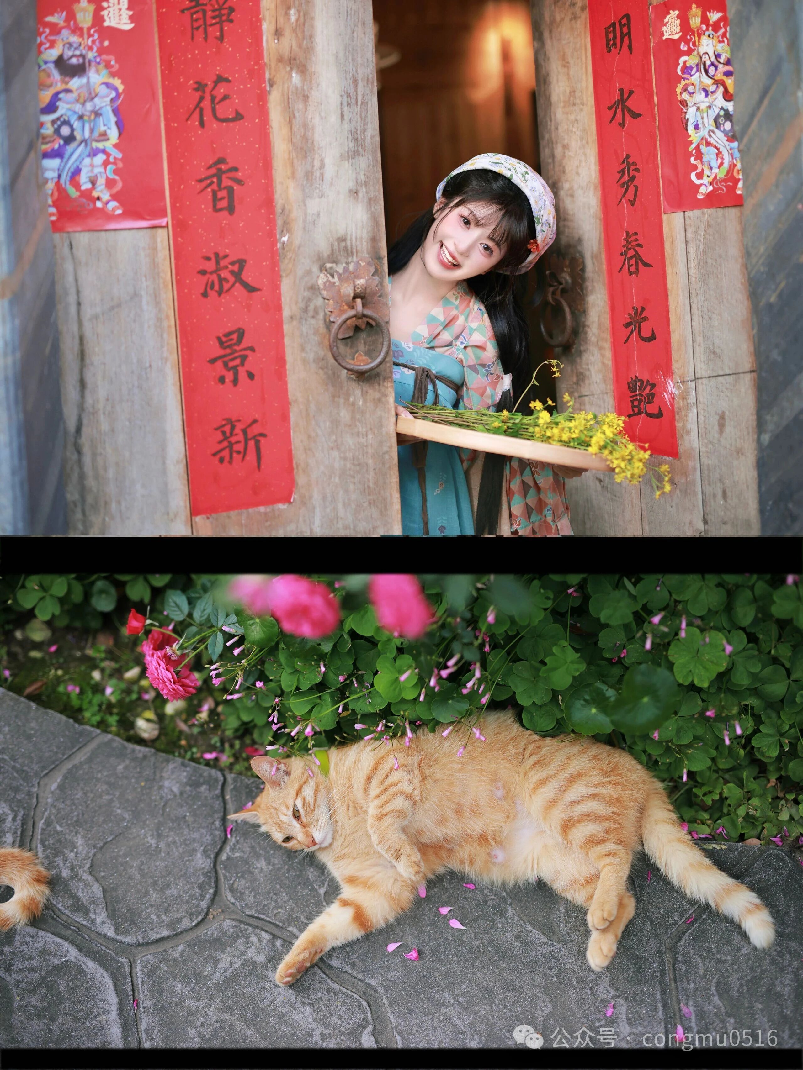 第5张