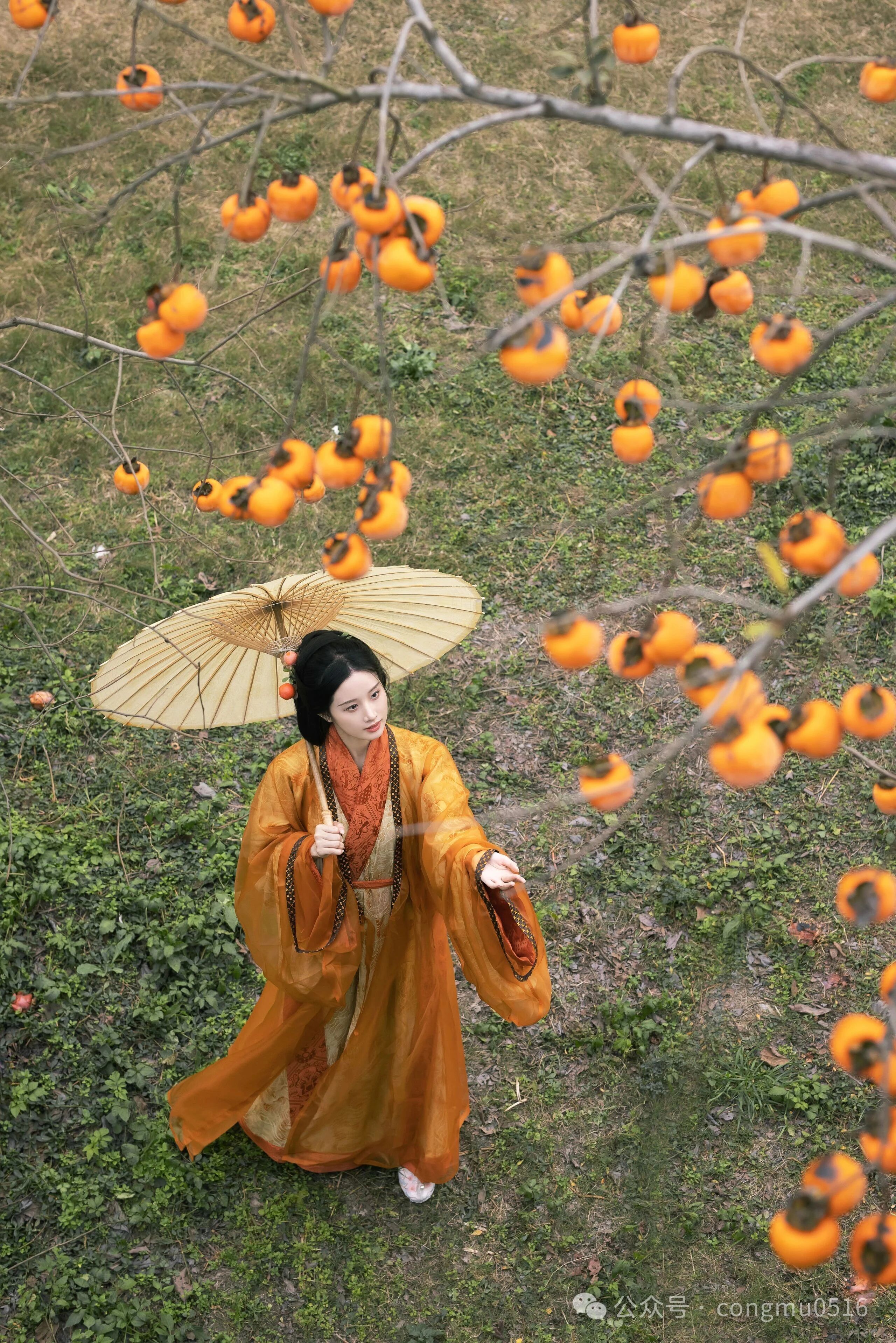 第2张