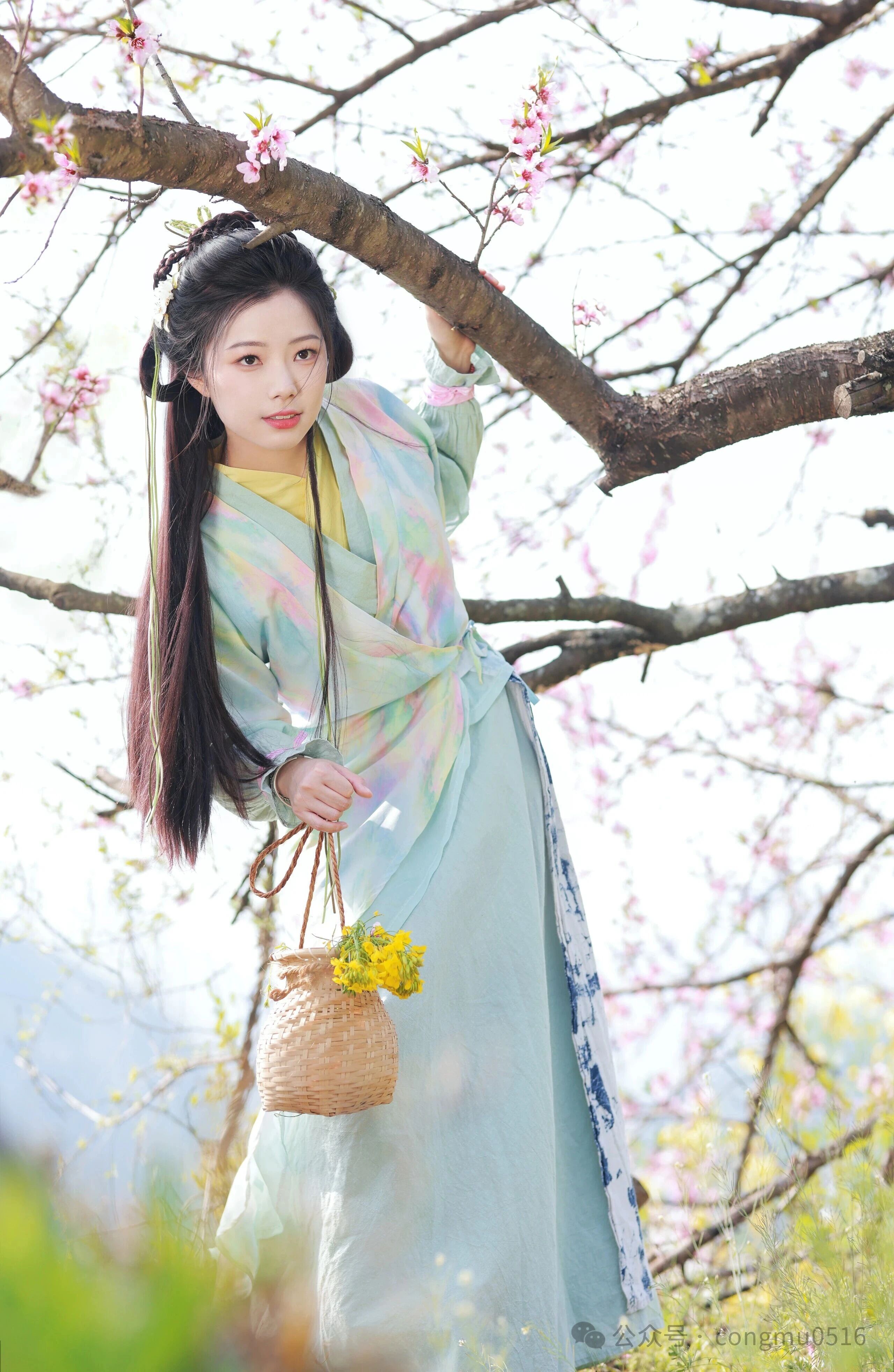 第3张