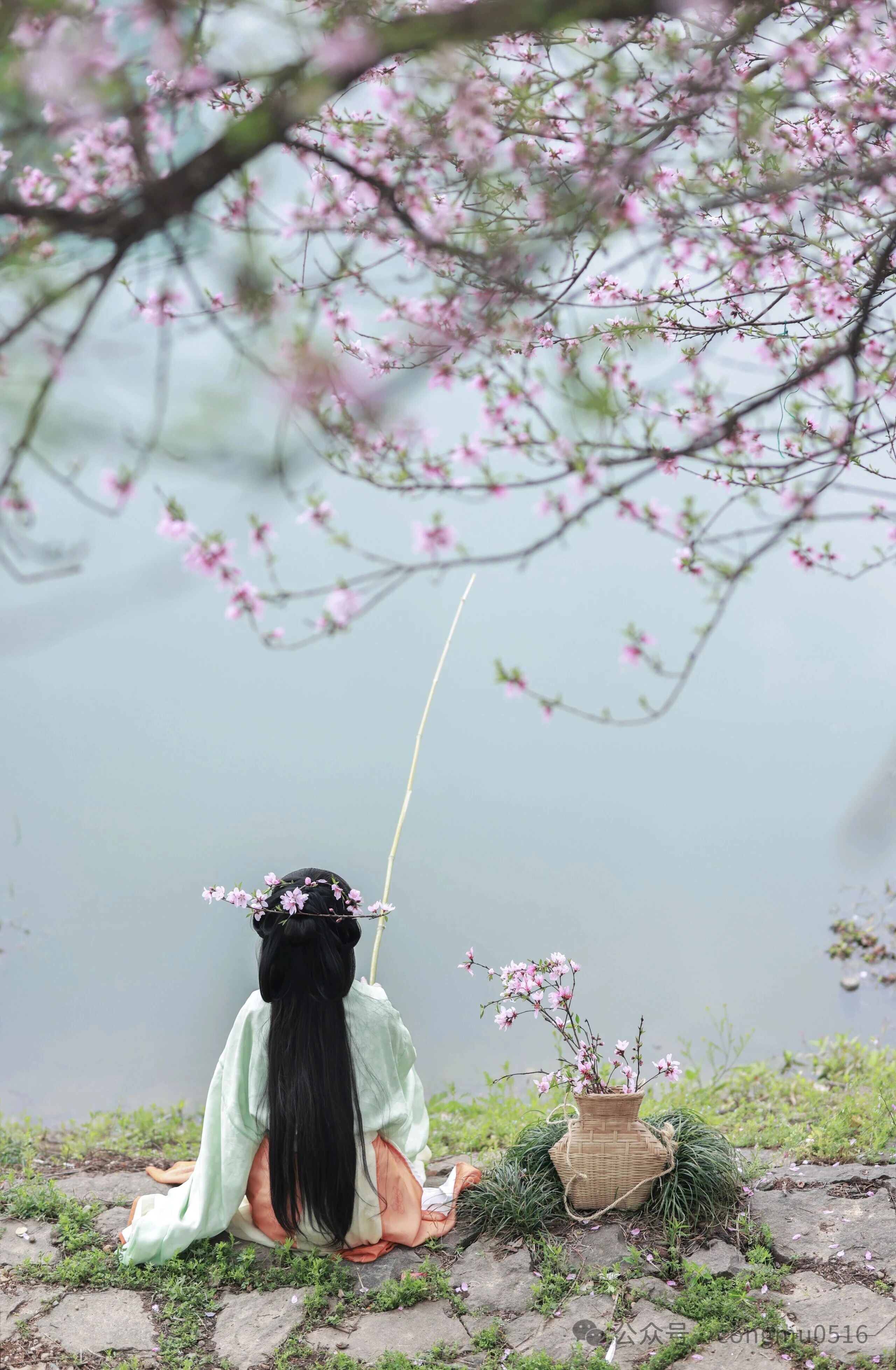 第4张