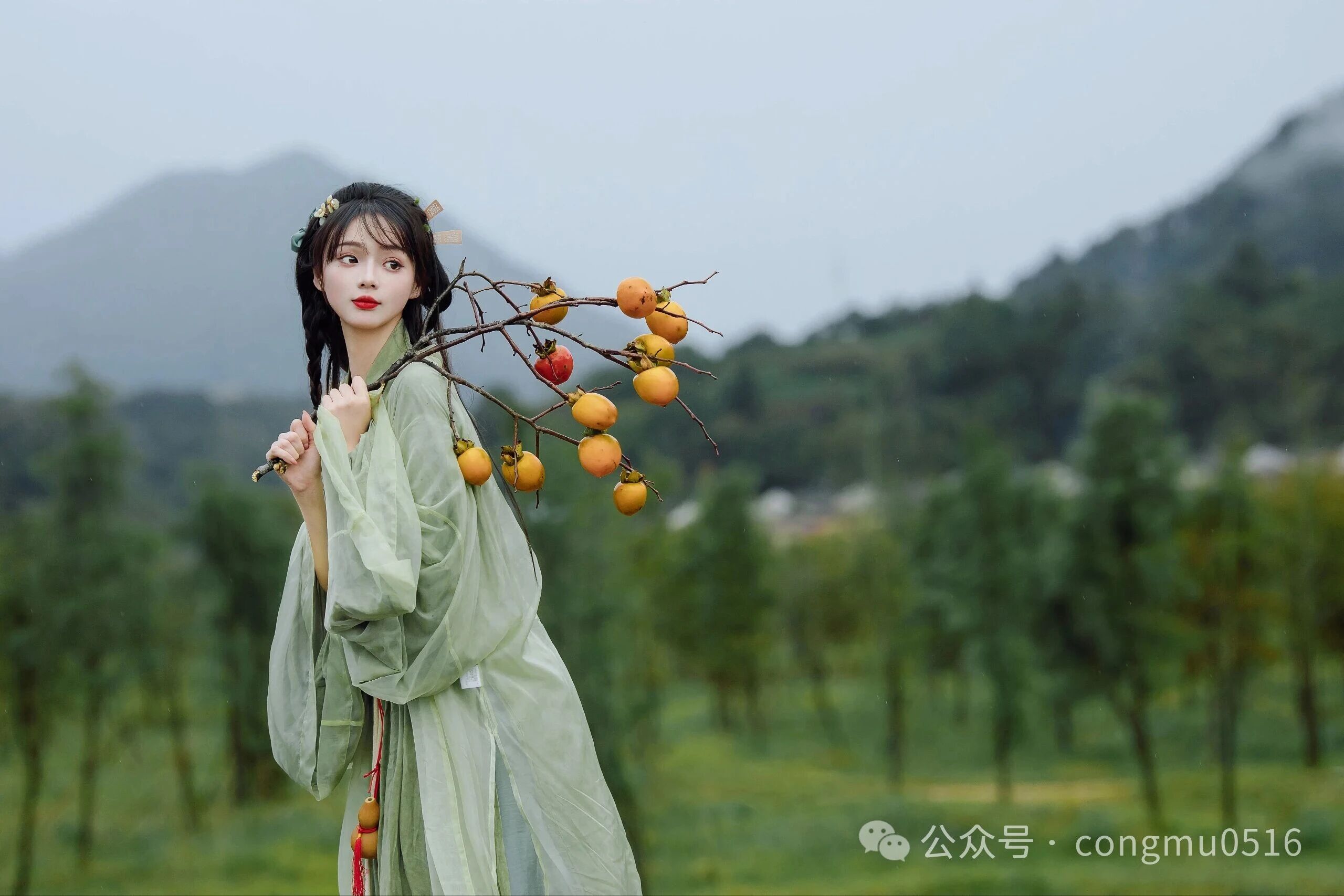 第3张