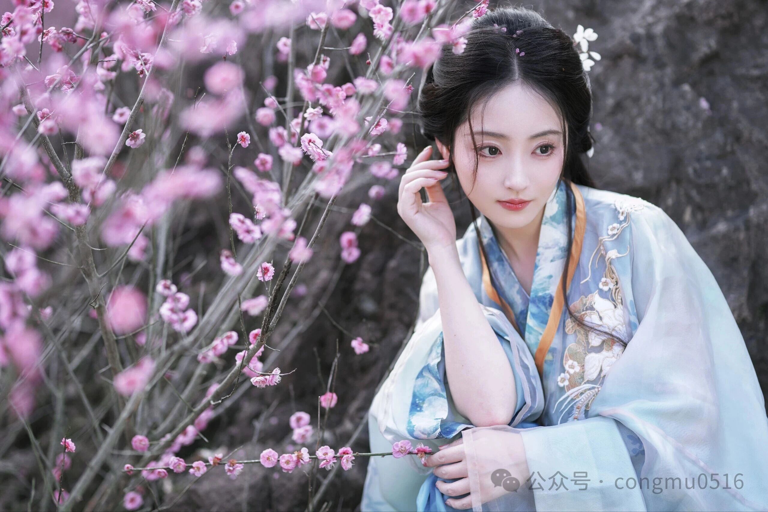 第3张