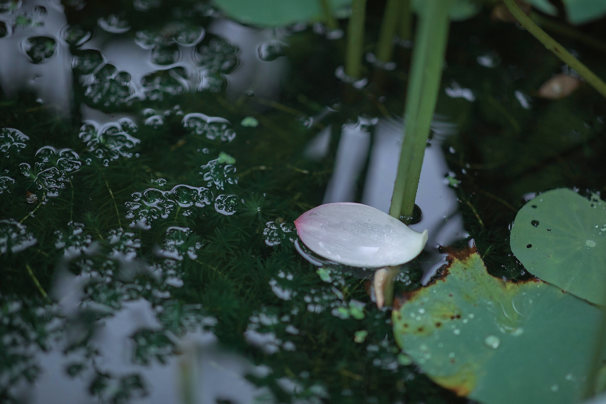 20201008230554591.jpg