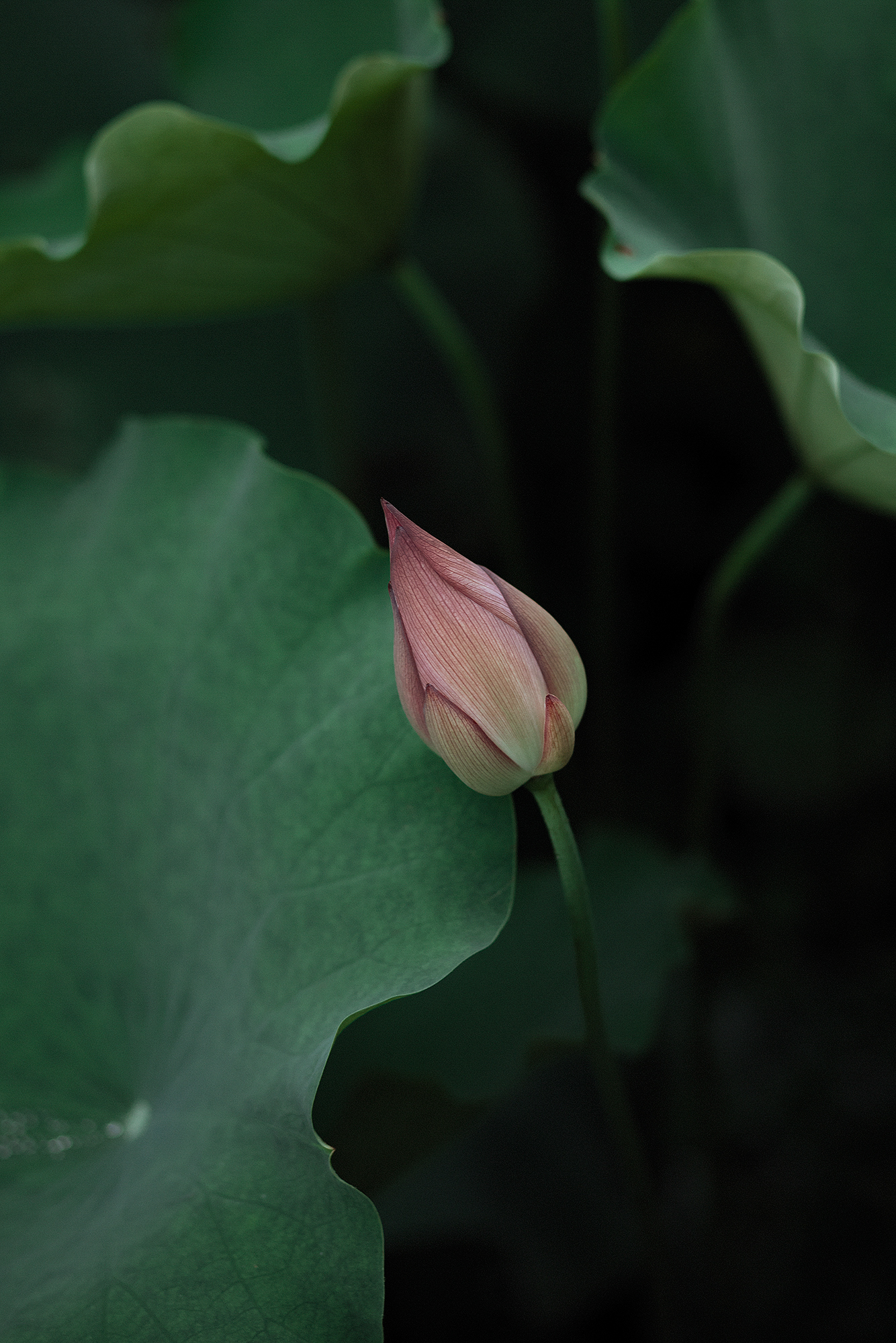 20201031190043465.jpg