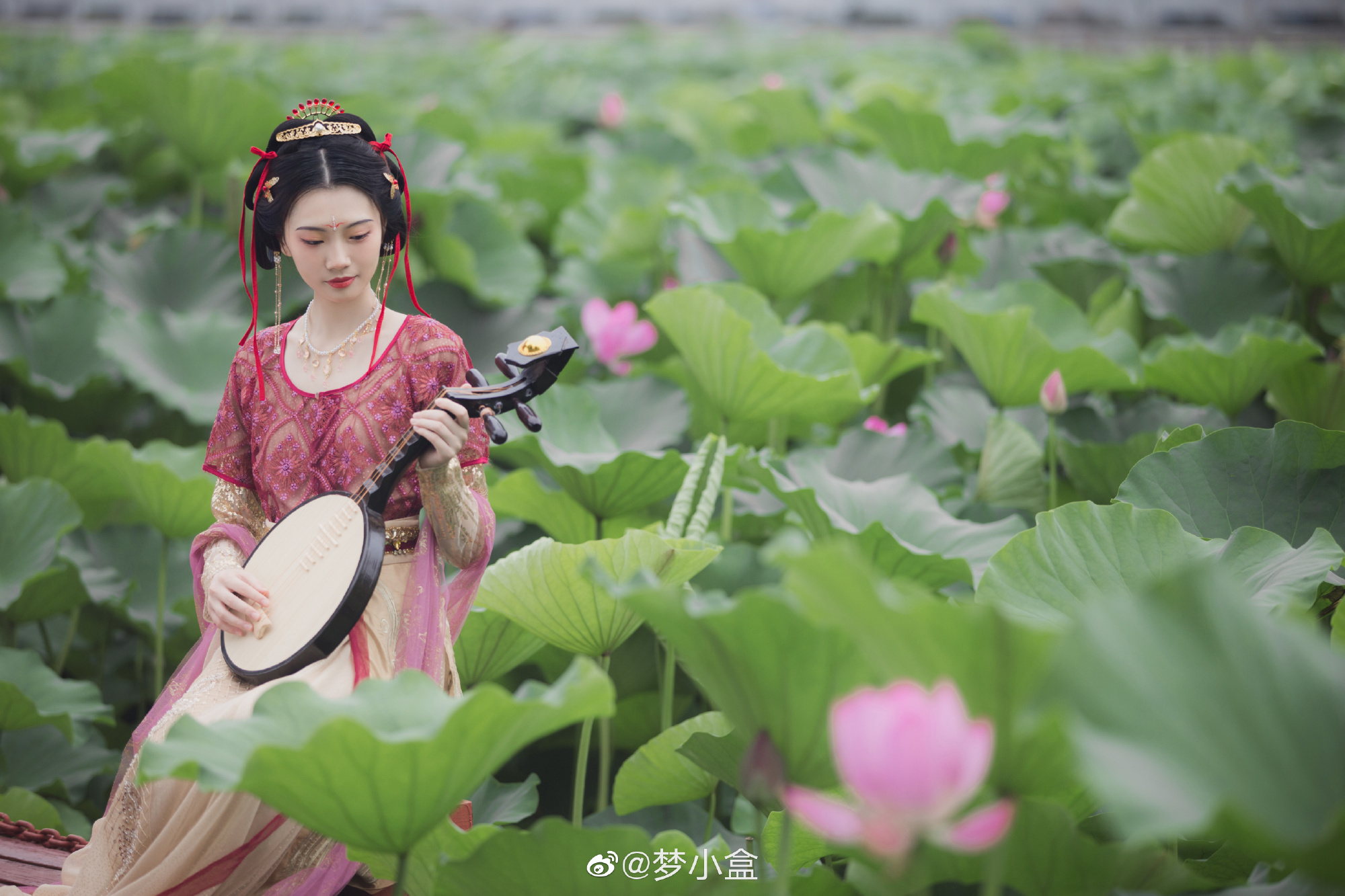 5d3b9e87ly1gt00daz9zlj24802tckjo.jpg