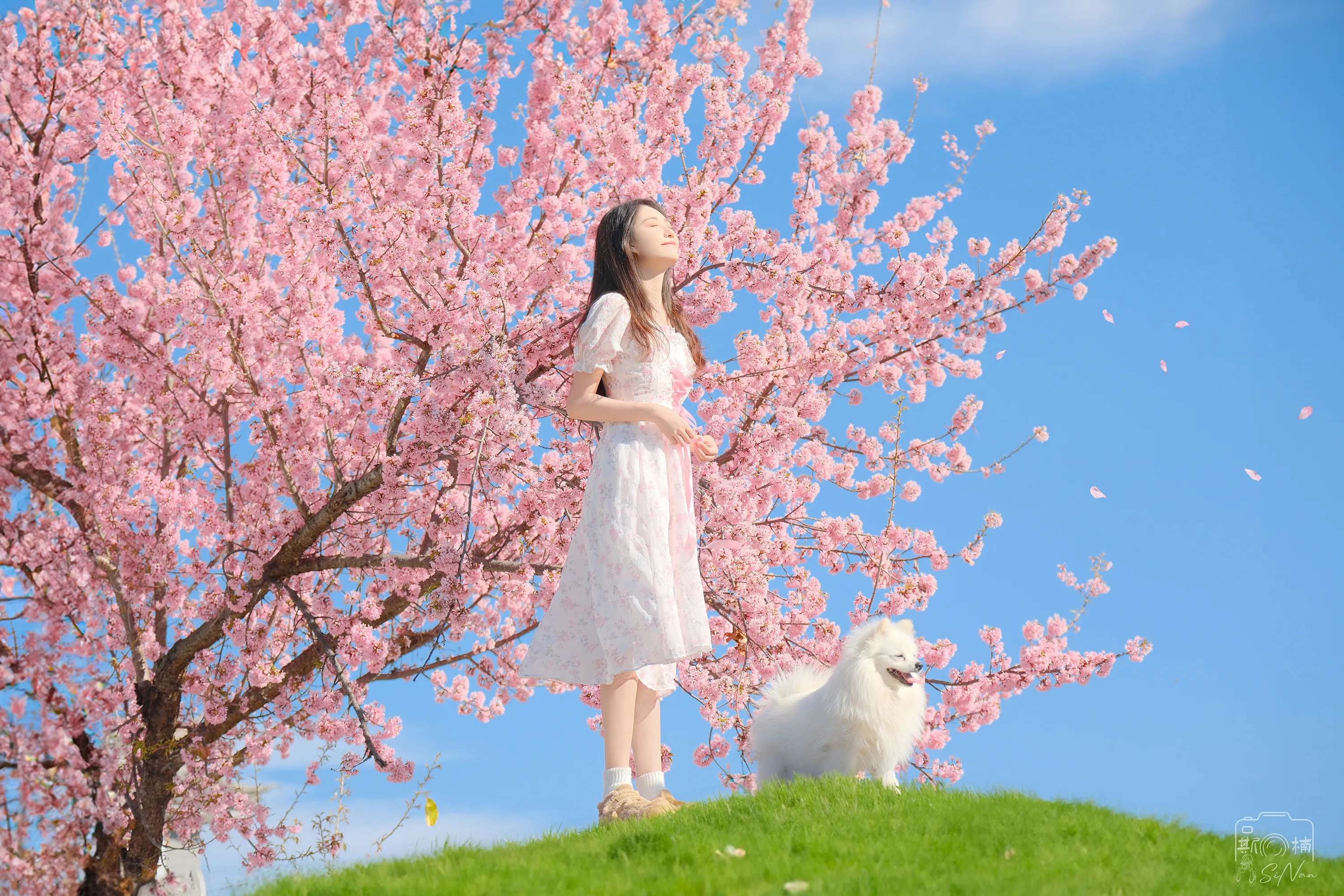 678097f49dcd59os6m0yjd8117.webp