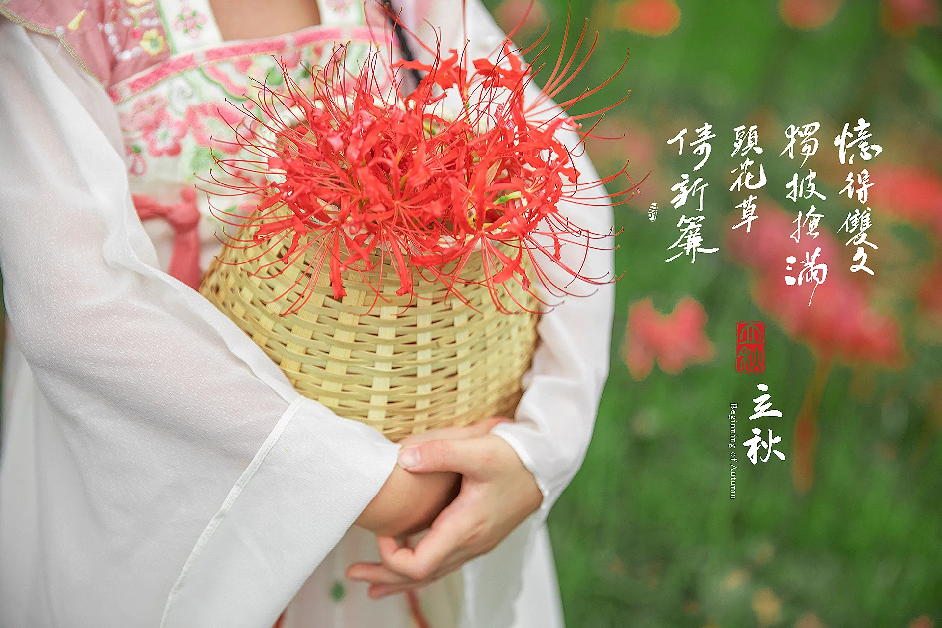 68c3de4fc3e06yp2sfe58r5711.webp