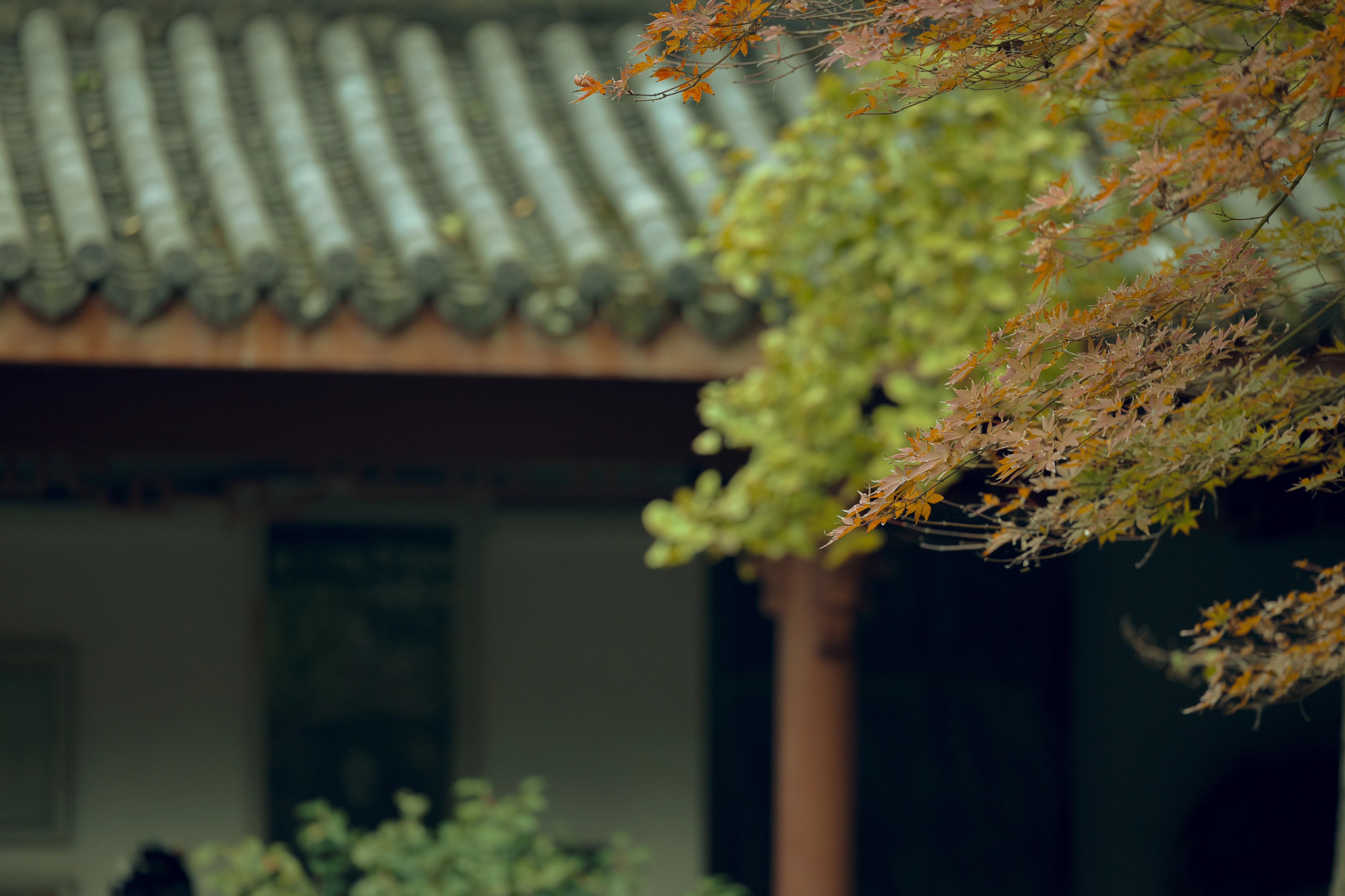 0020.webp