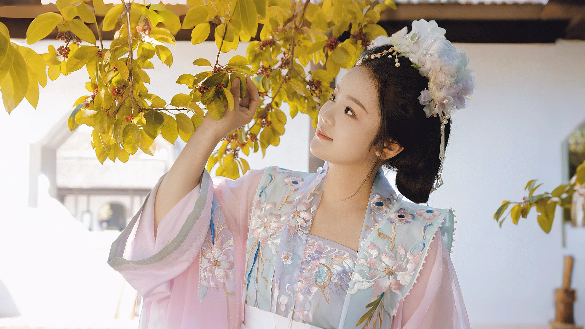 format,webp (1).webp