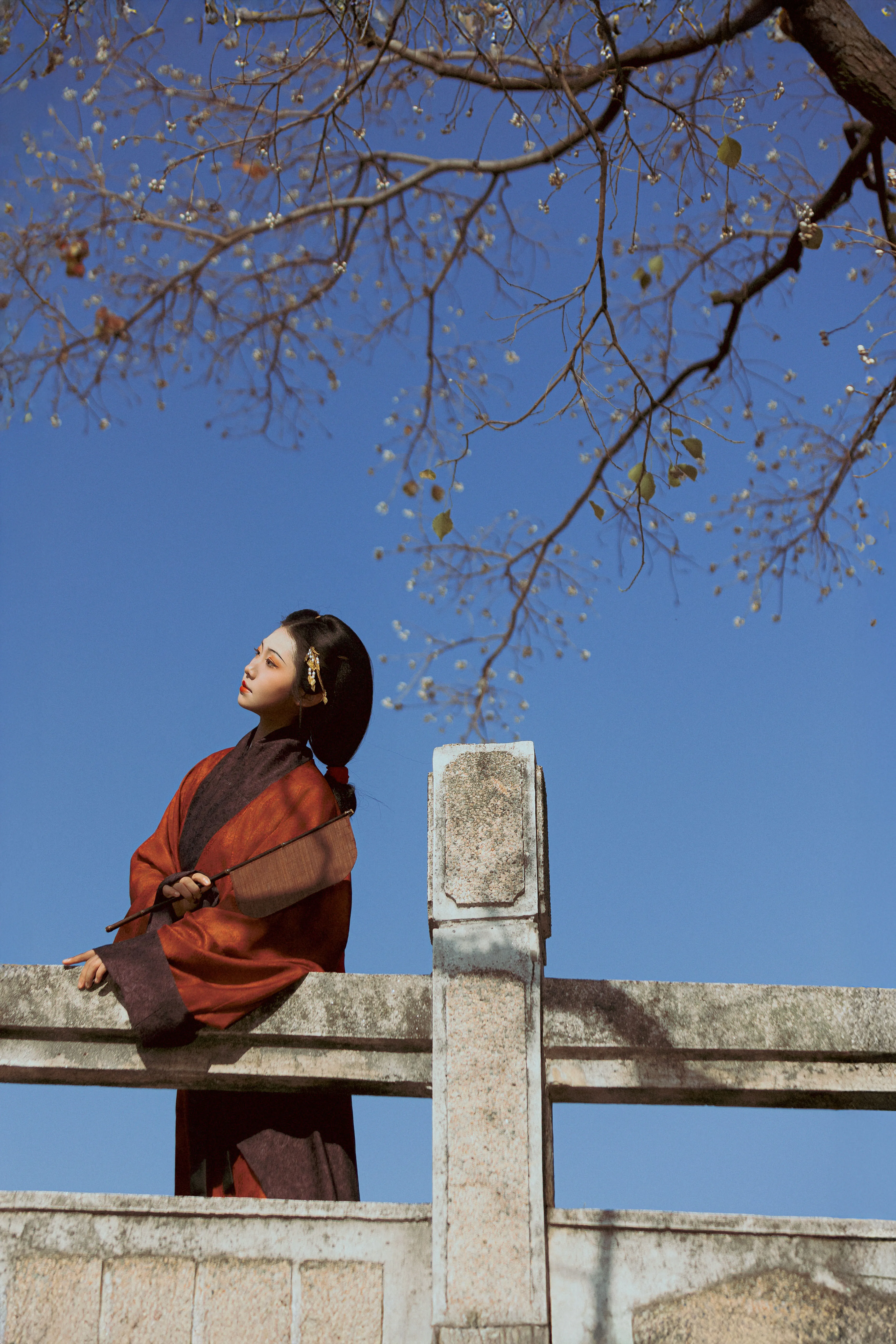 format,webp (7).webp