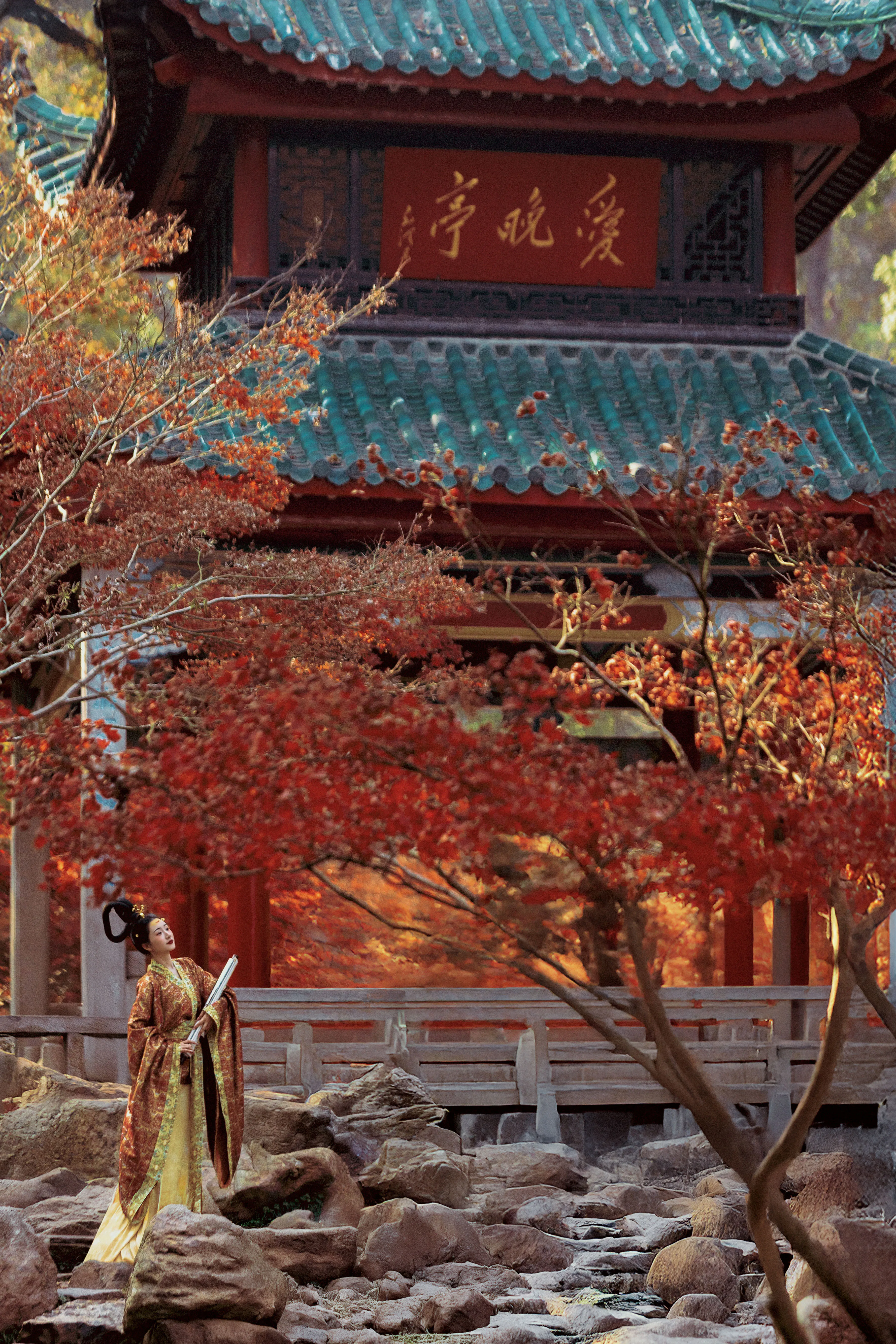 format,webp (16).webp