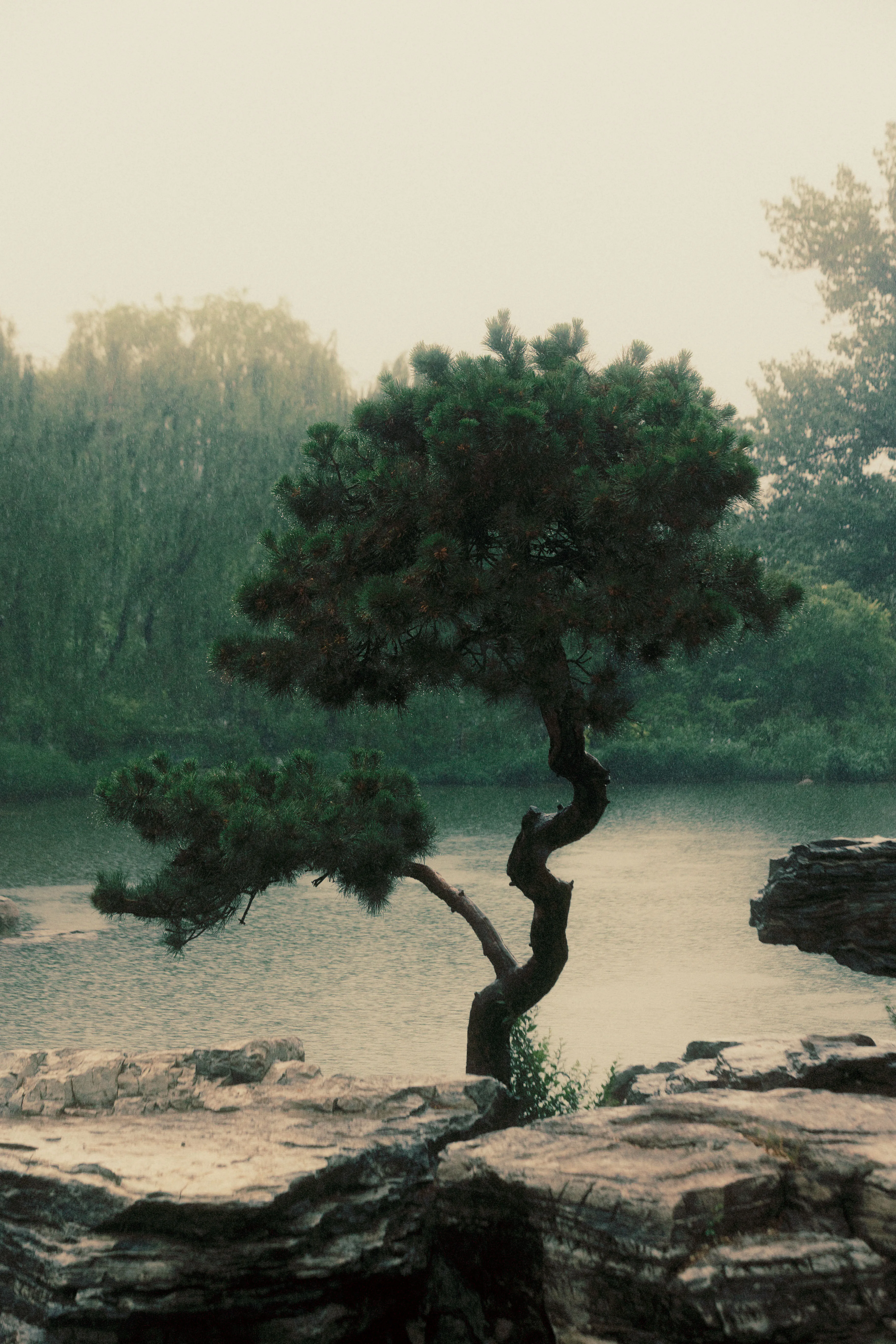 6a1da80f2bd7070n63vdh25504.webp