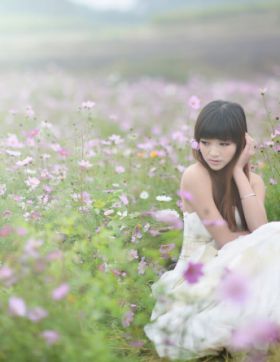 格桑花开
