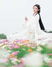 山河远阔 人间烟火 芋圆圆鹅
