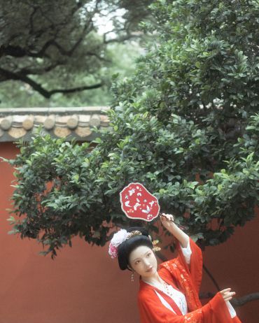 红袖空舞