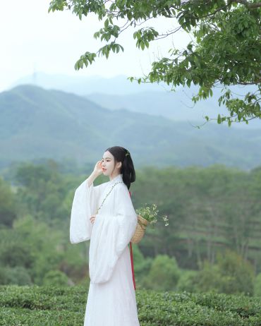 茶园等一个人