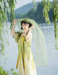 杨柳依依 湫一只岁岁