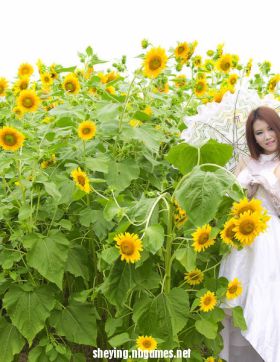 金葵*美眉