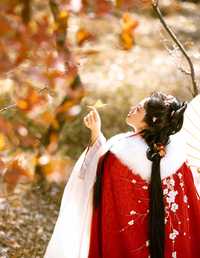 满阶红叶 谨陬捌