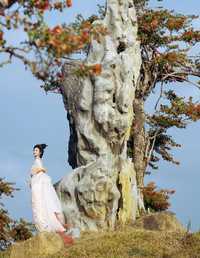 南湾花镇 一只漫漫